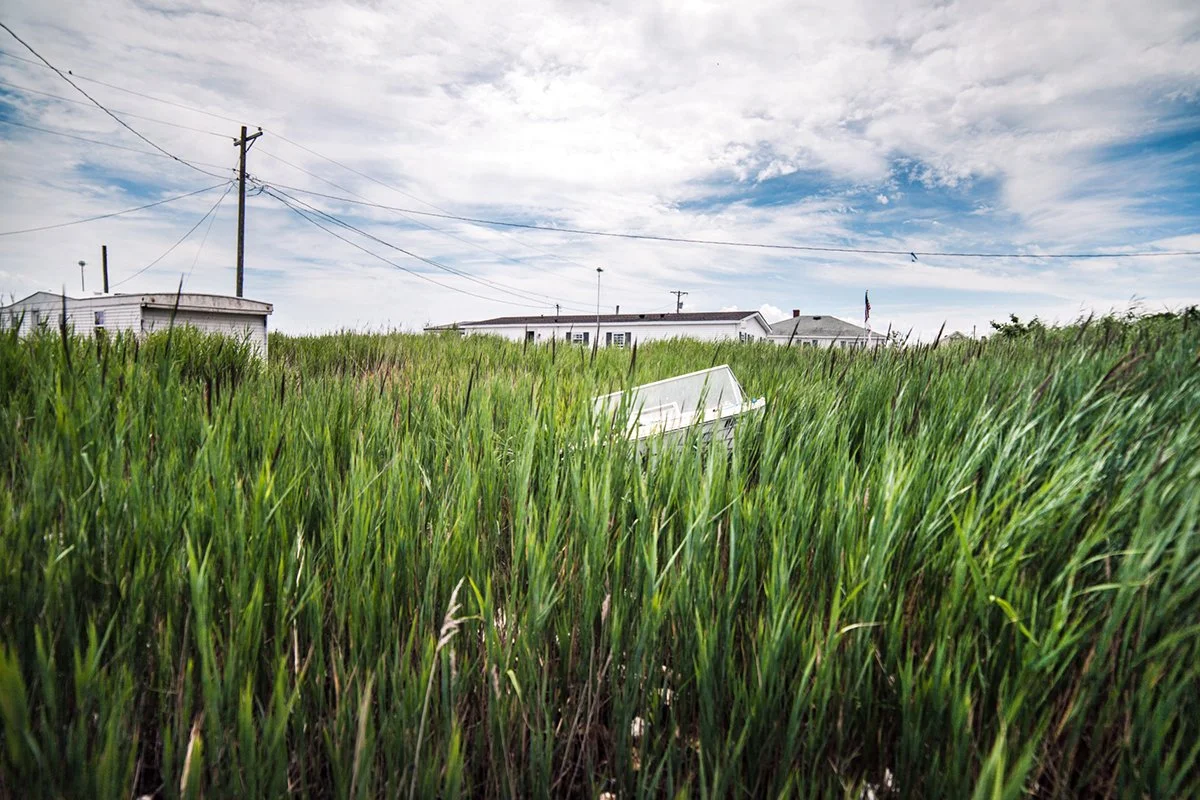 21 Lost in the Marsh_IMG_9256.jpg