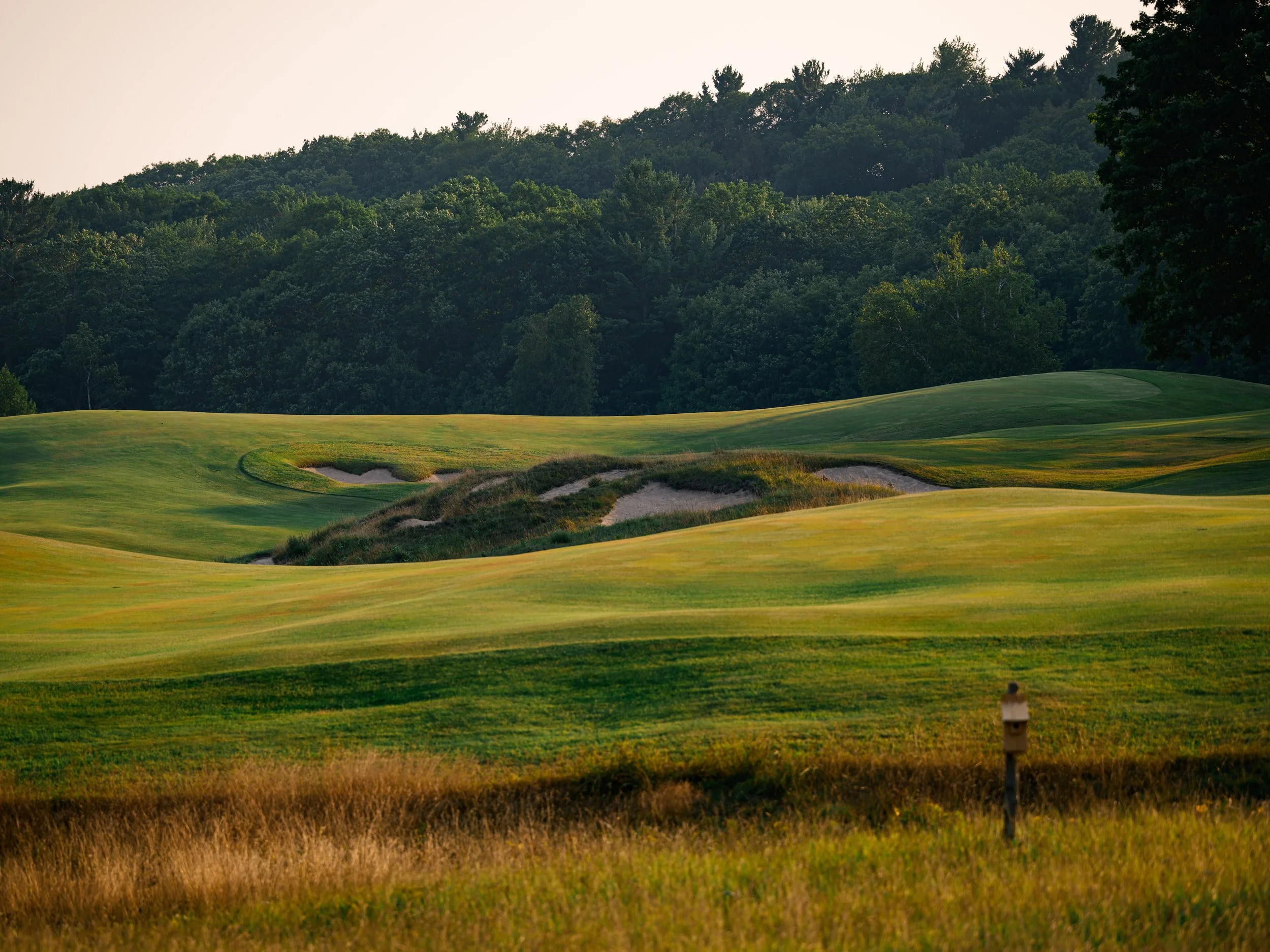 2025-07-31-Golf-Crystal Downs-91.jpg