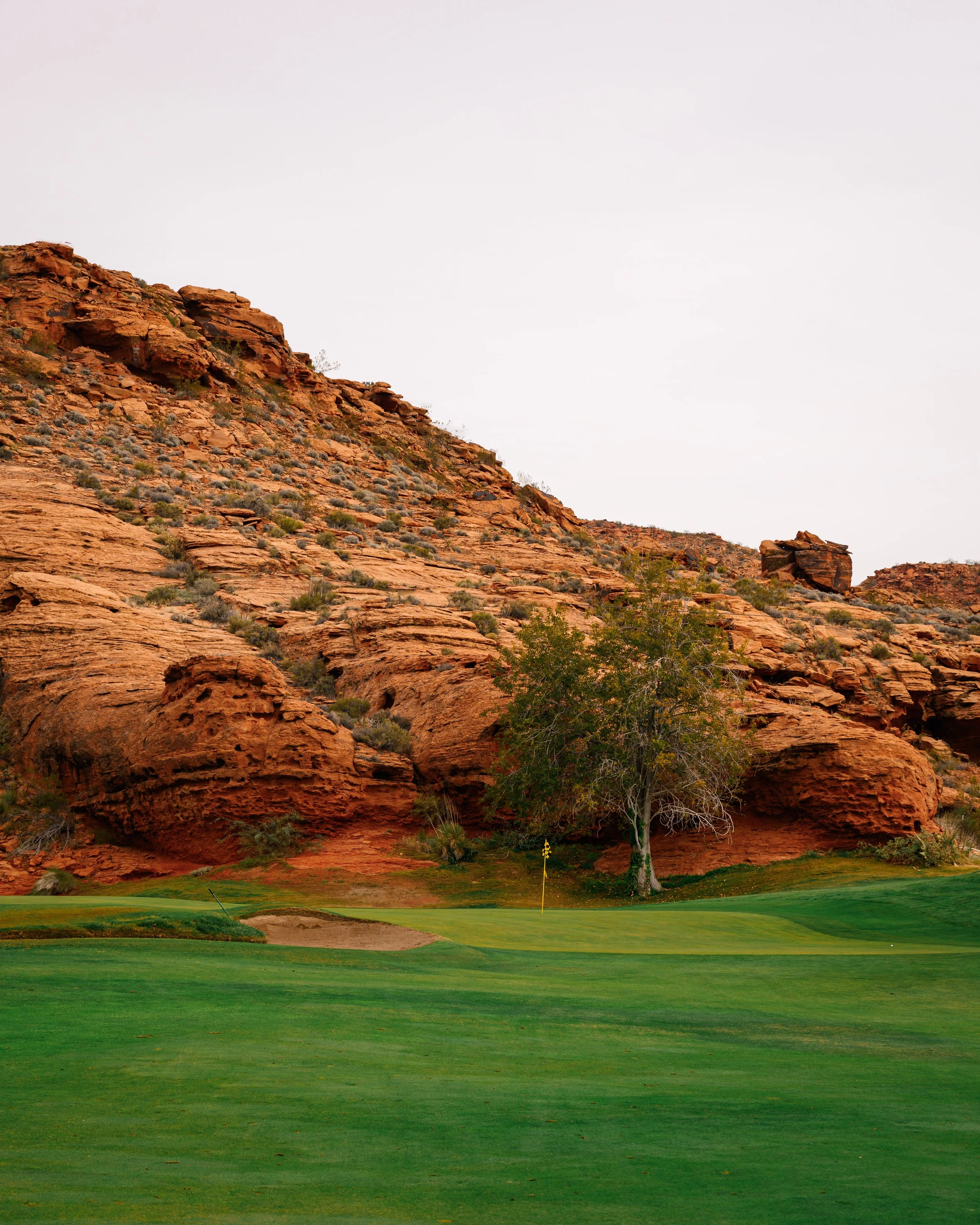 2025-11-15-Golf-Dixie Red Hills-5.jpg