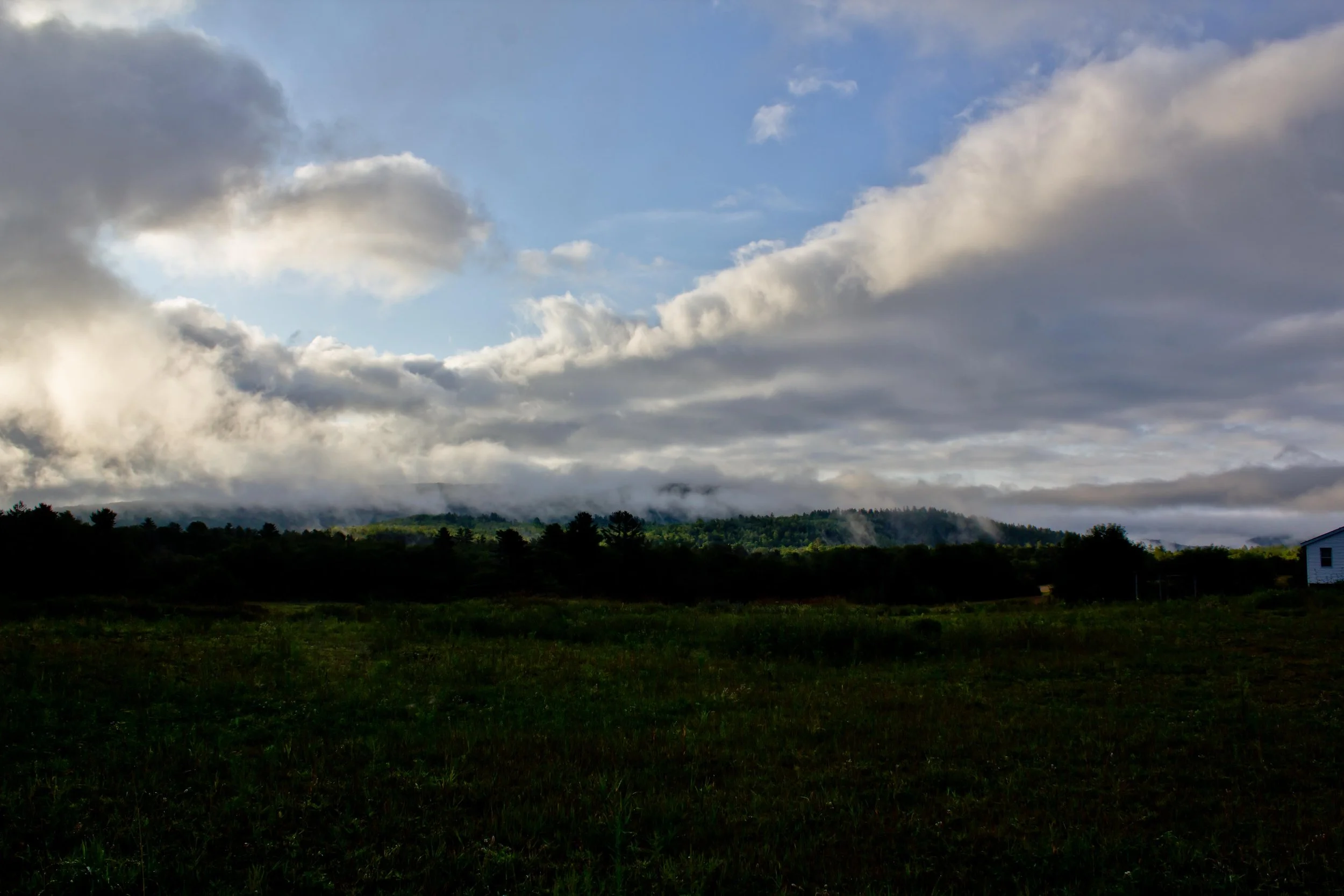 heMG_5552 field ii-aug18-2019-fs-dL.jpg