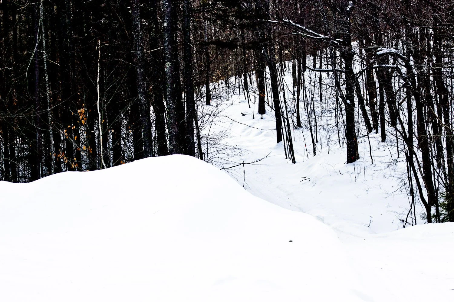  North of the Ball Field 