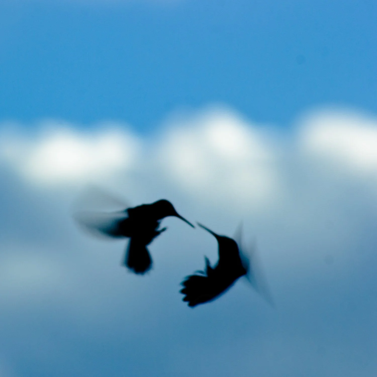 ~20220801-IMG_7653 copy-open.jpeg