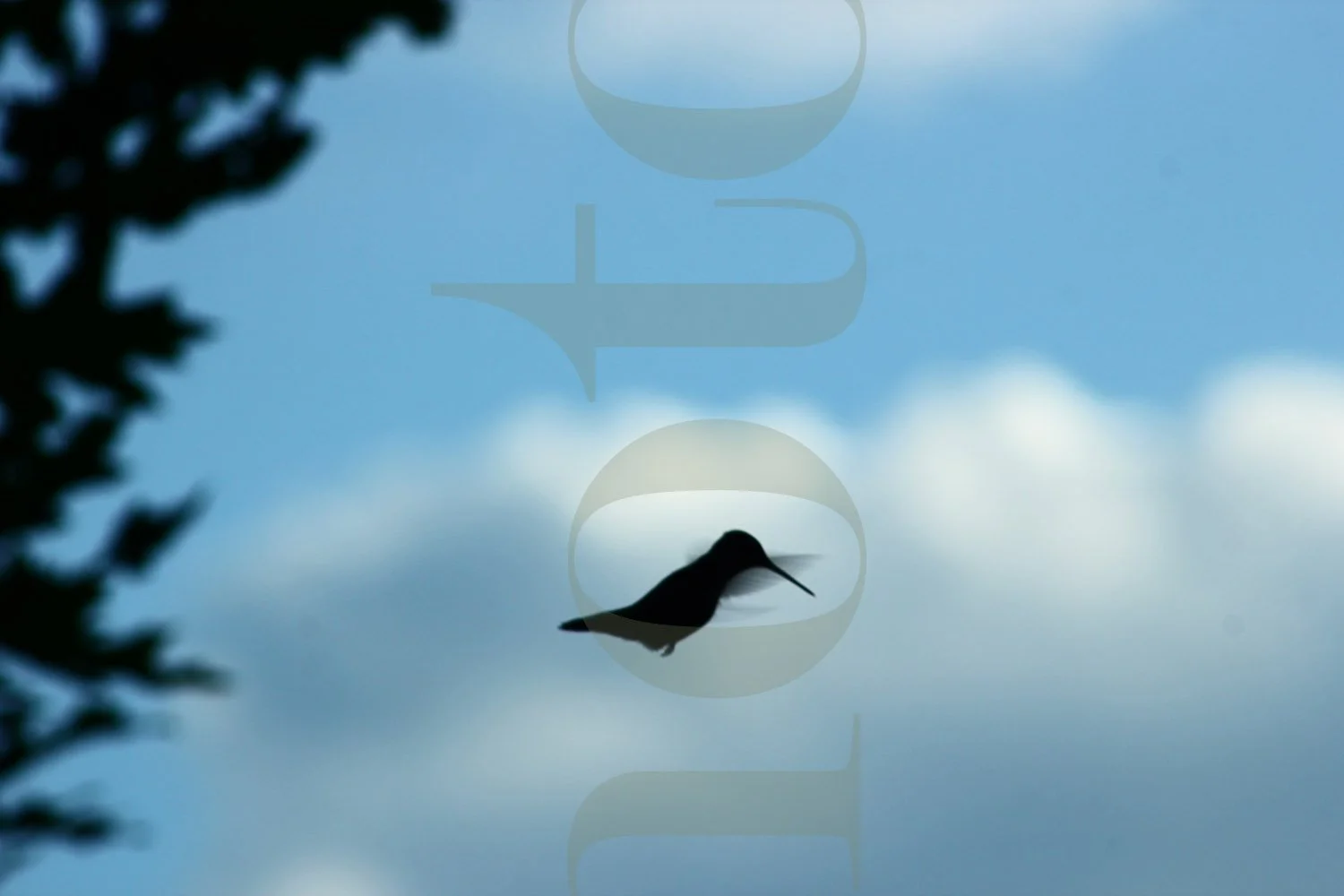 20220801-IMG_7652 copy.jpg