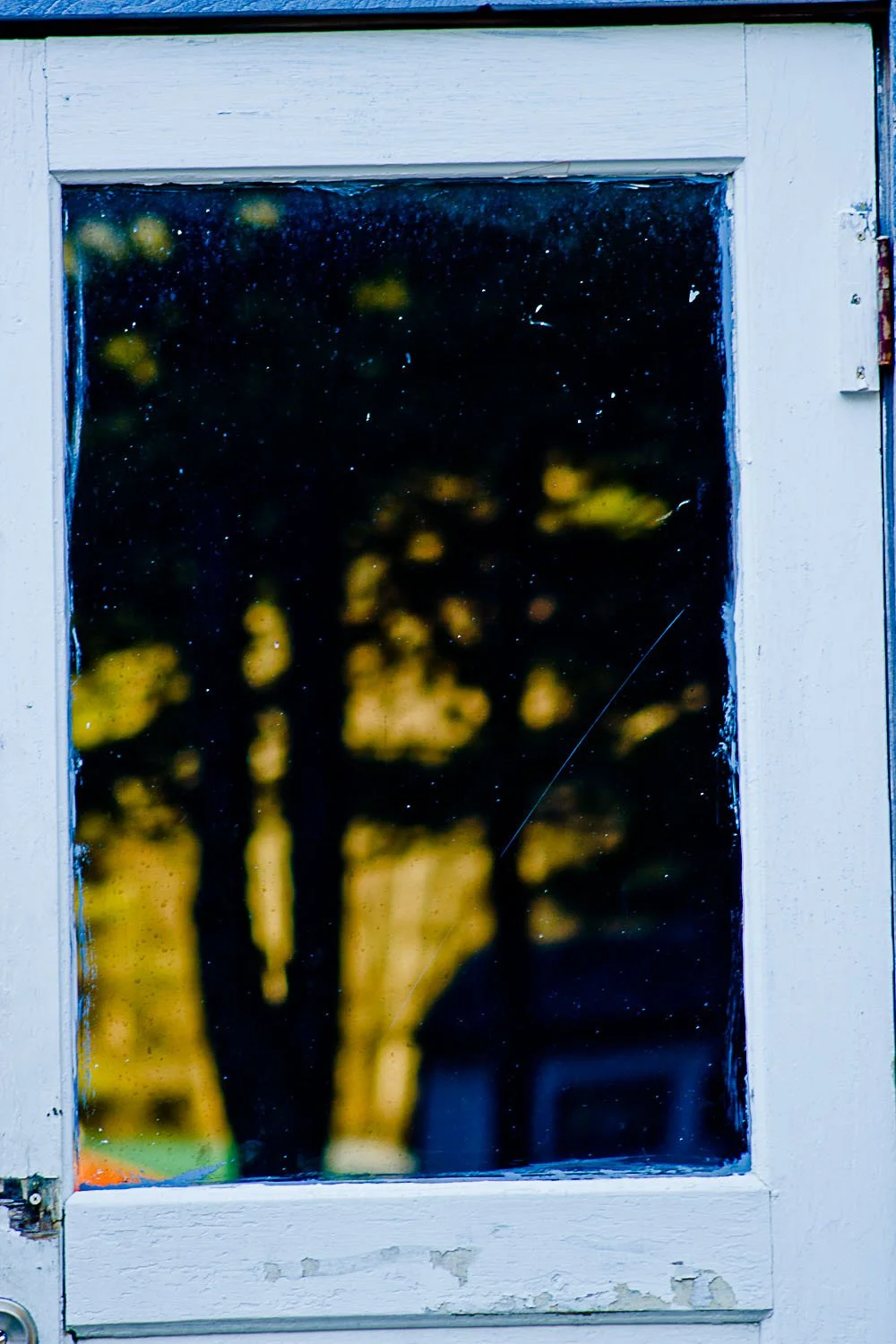=20201202-IMG_9292-tree in window.jpg