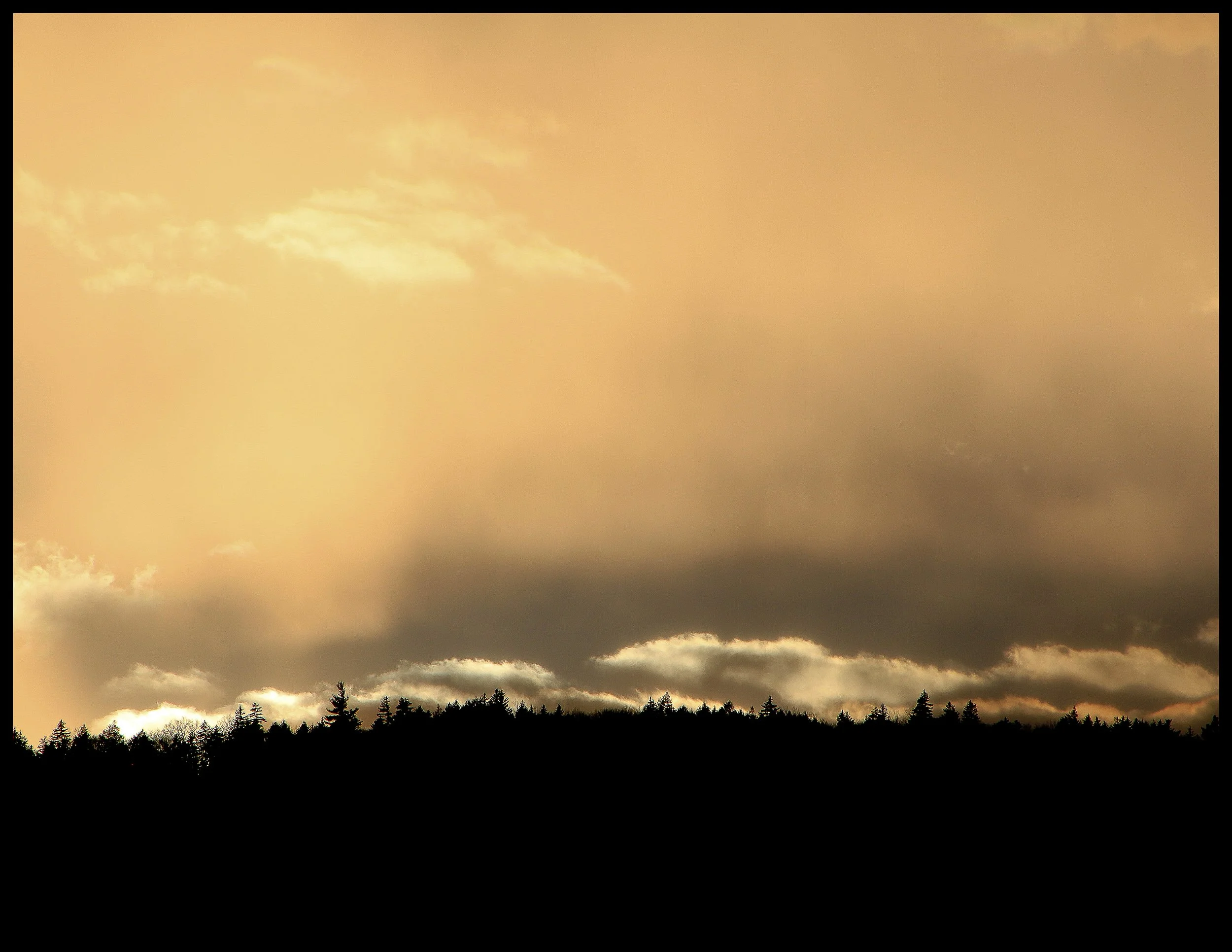 06 IMG_5920 Hovering, Western Mountains, Maine-aug112018-dL.jpg