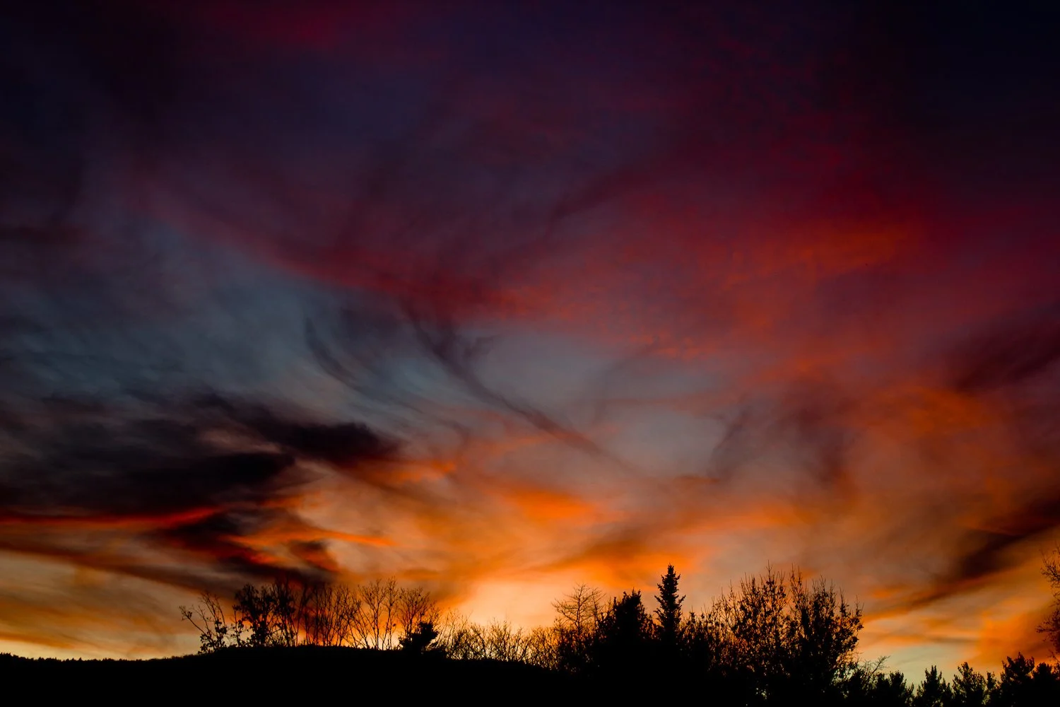 20221030-IMG_9712-scr-dL copy.jpeg