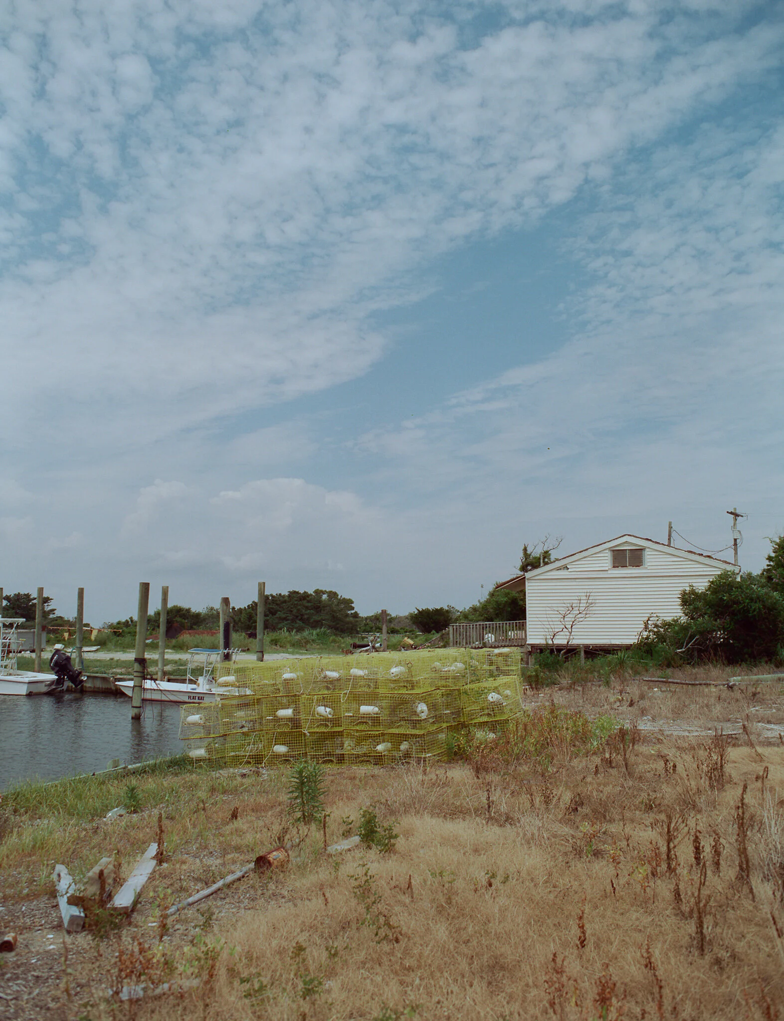 2451_01.jpg