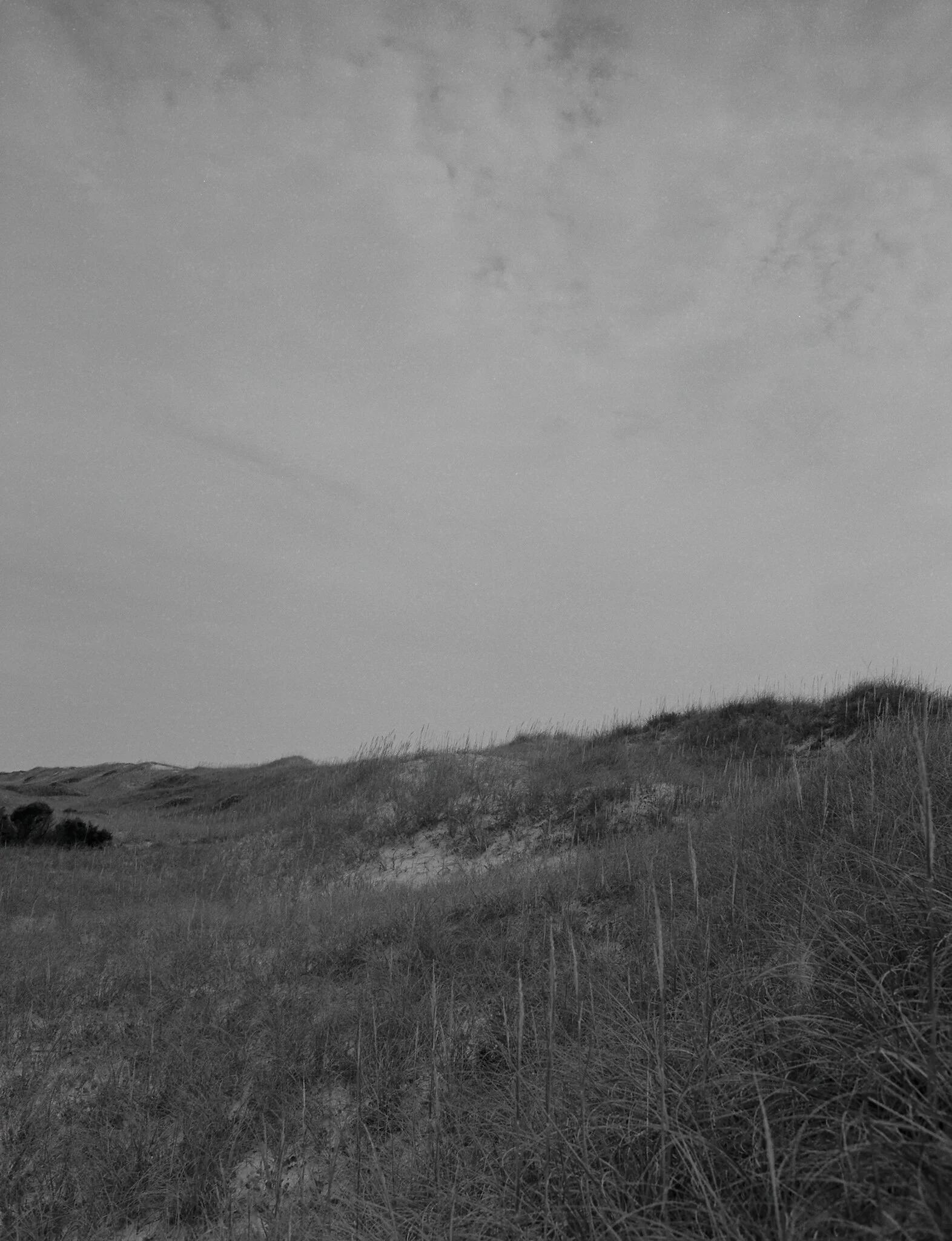 2454_12.jpg