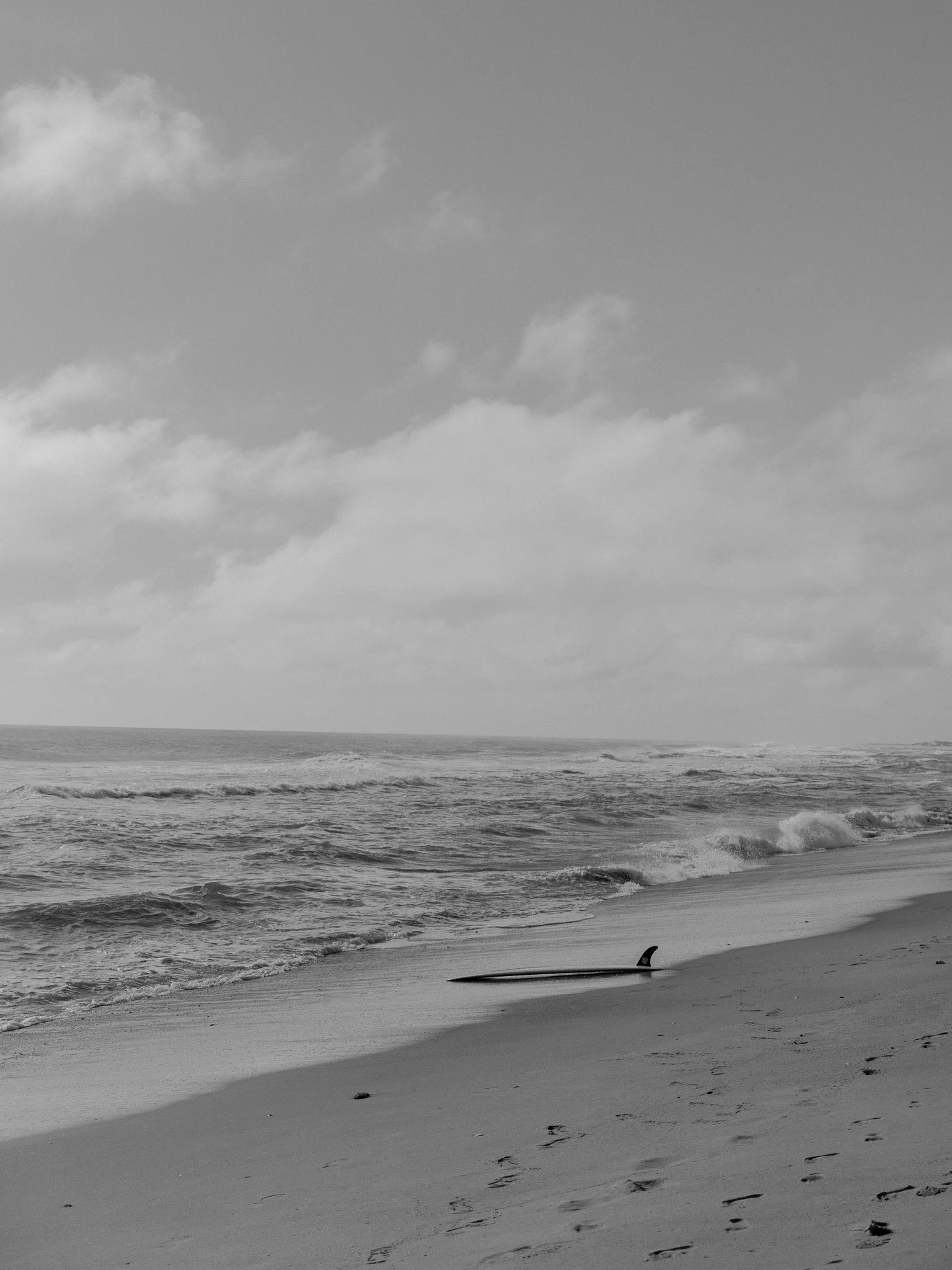 DSCF0308.jpg
