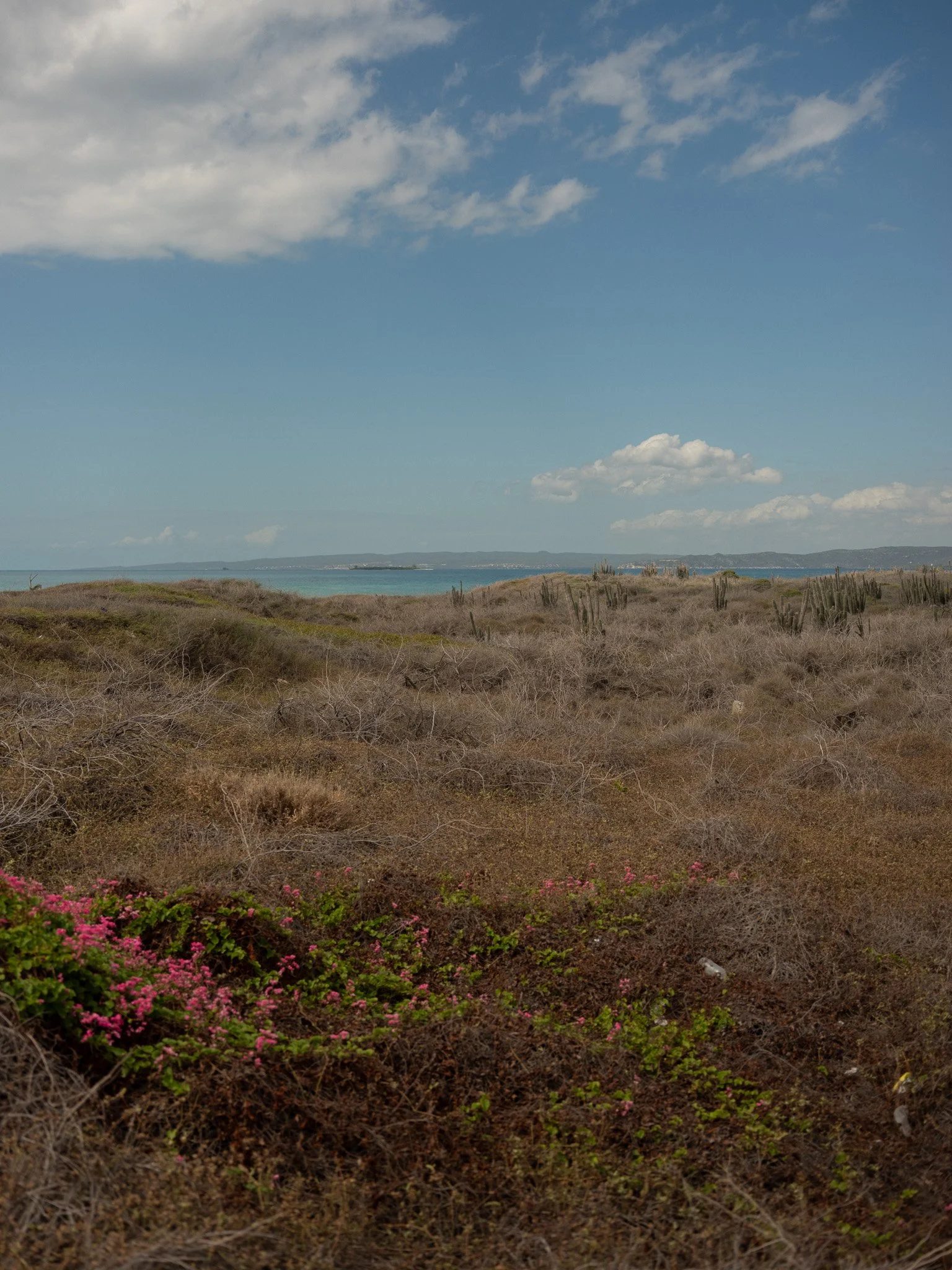 DSCF1283.jpg