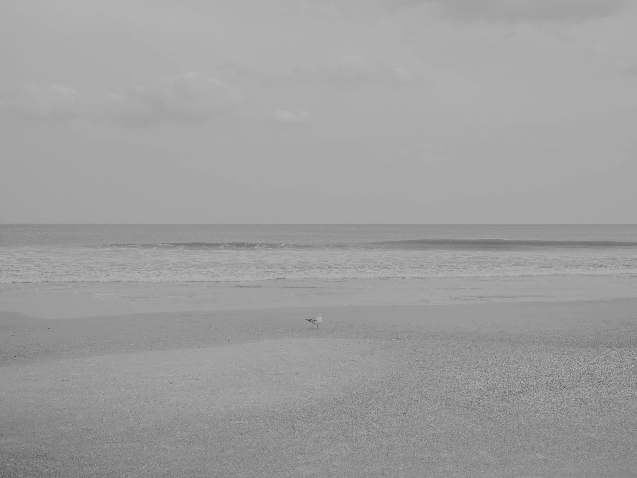 DSCF1847.jpg