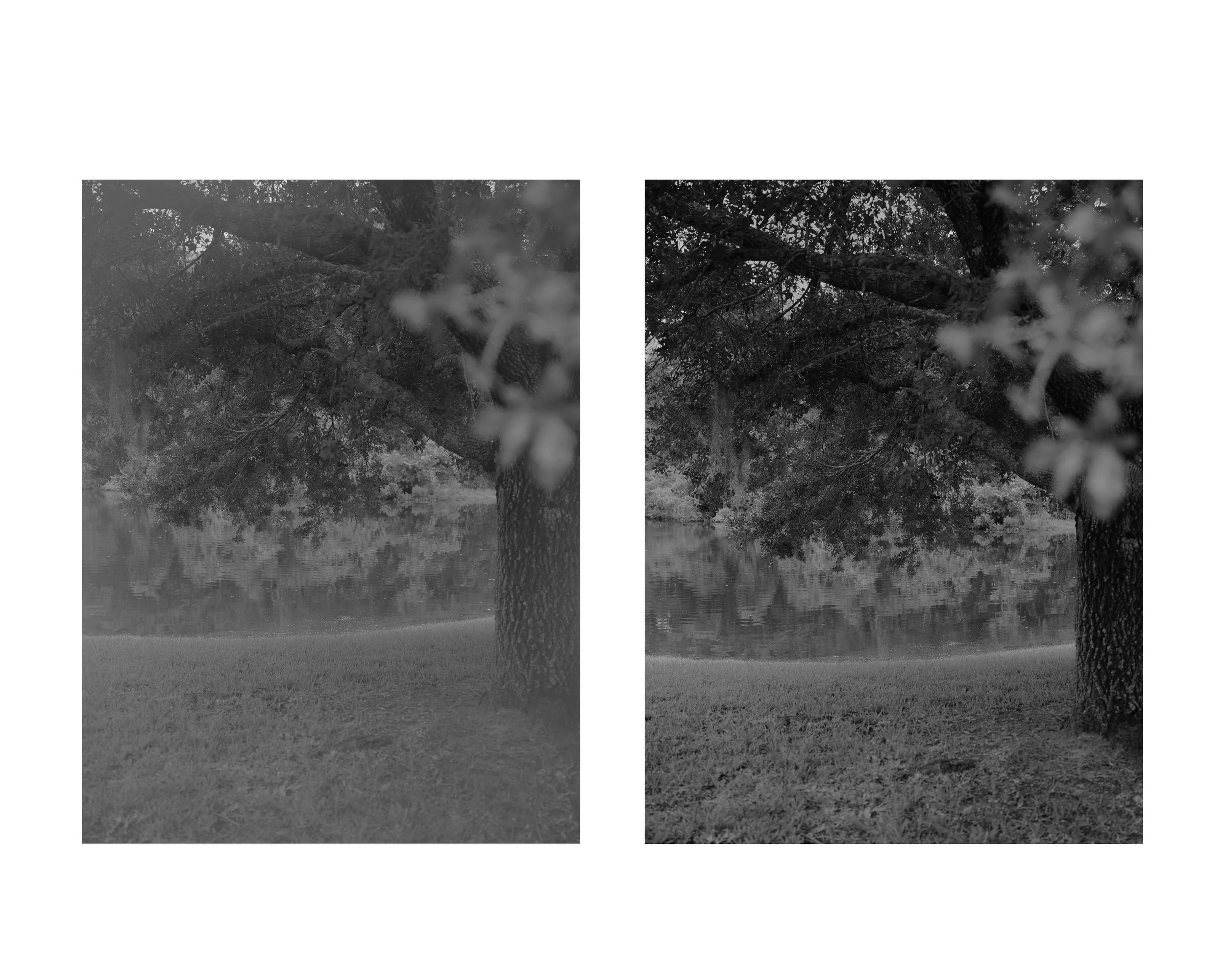Bloomberg_Diptych_1.jpg