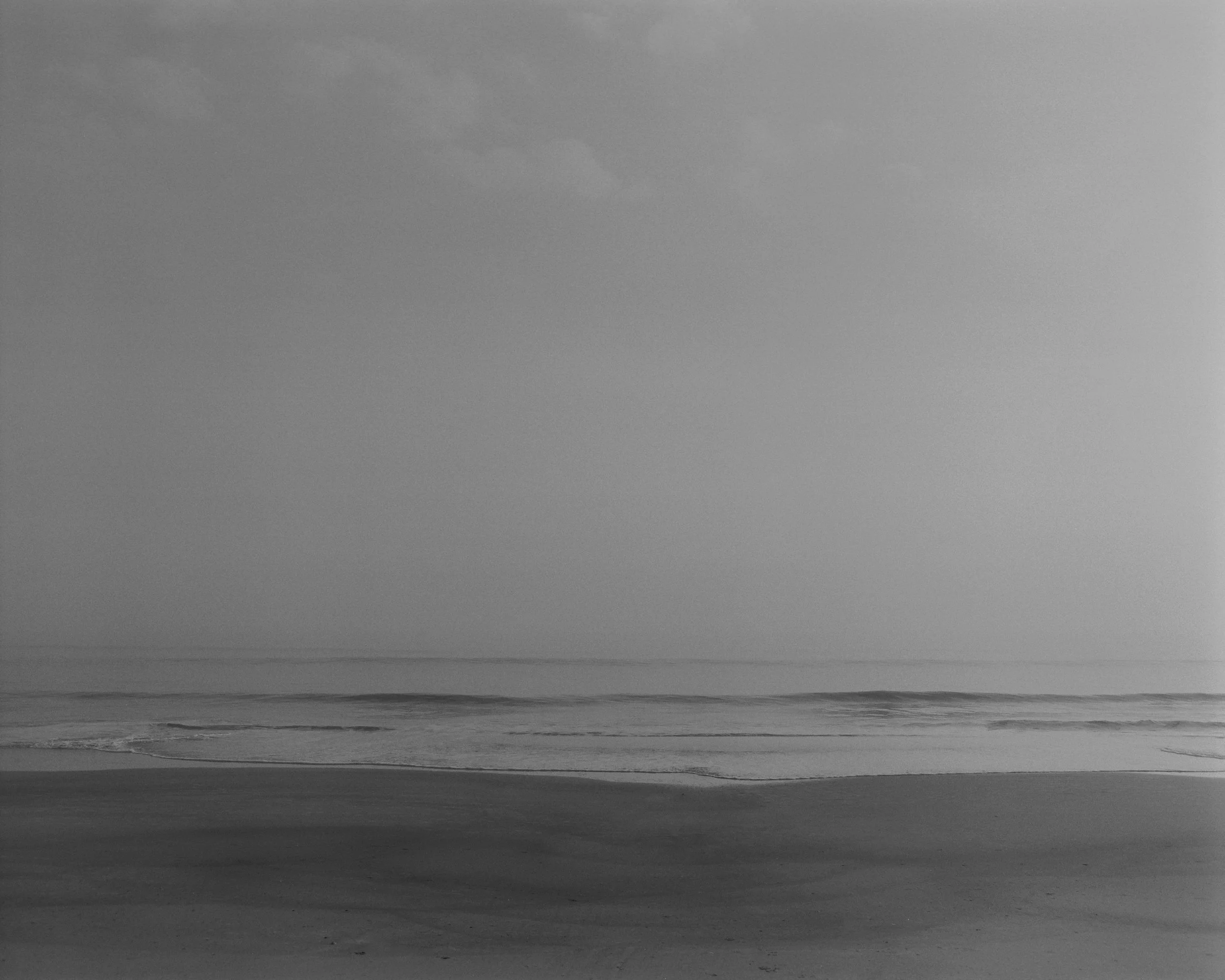 97064_DMI_BeachCreatures_002_03 1.jpg