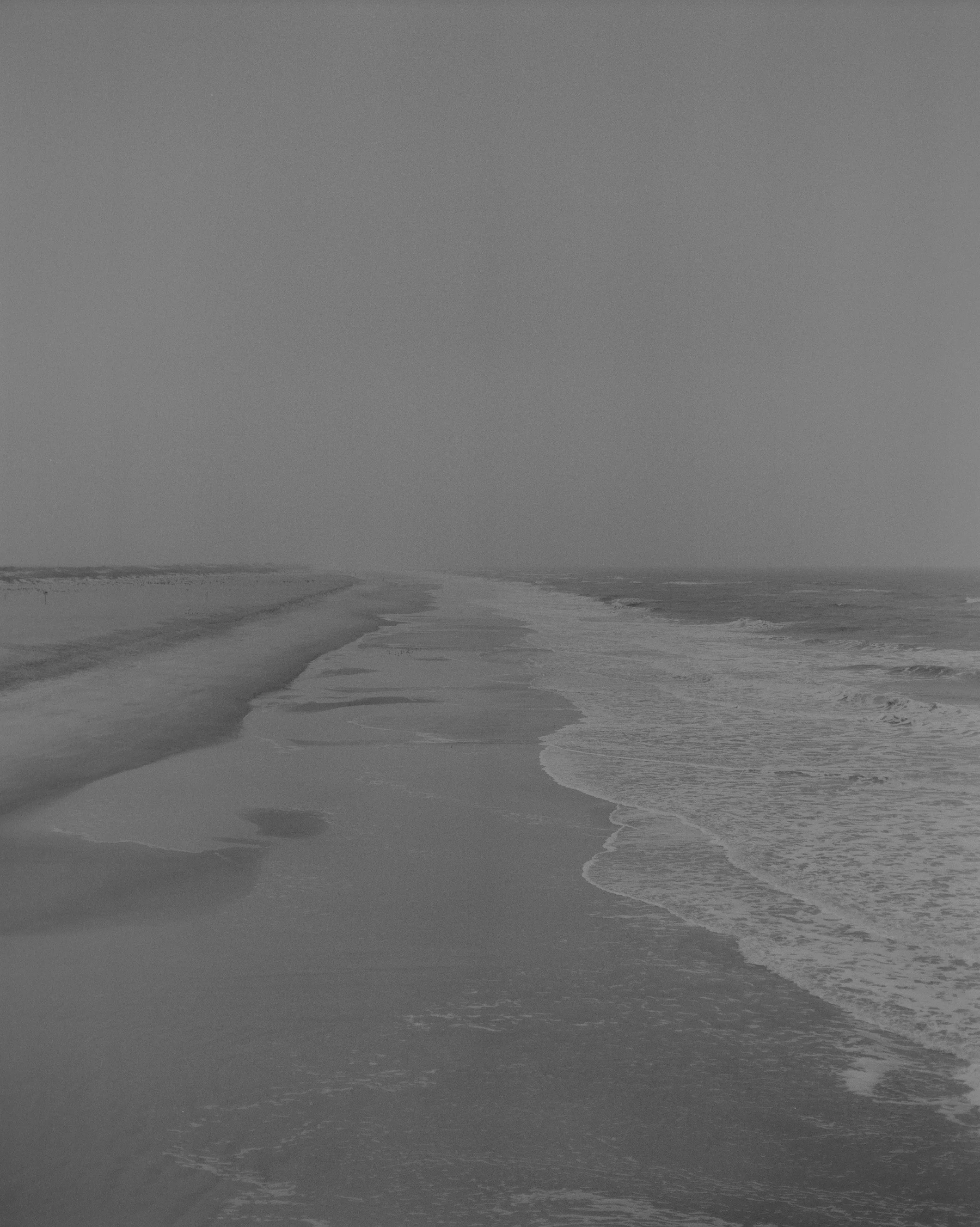 100521_DMI_BeachCreatures_003_06.jpg