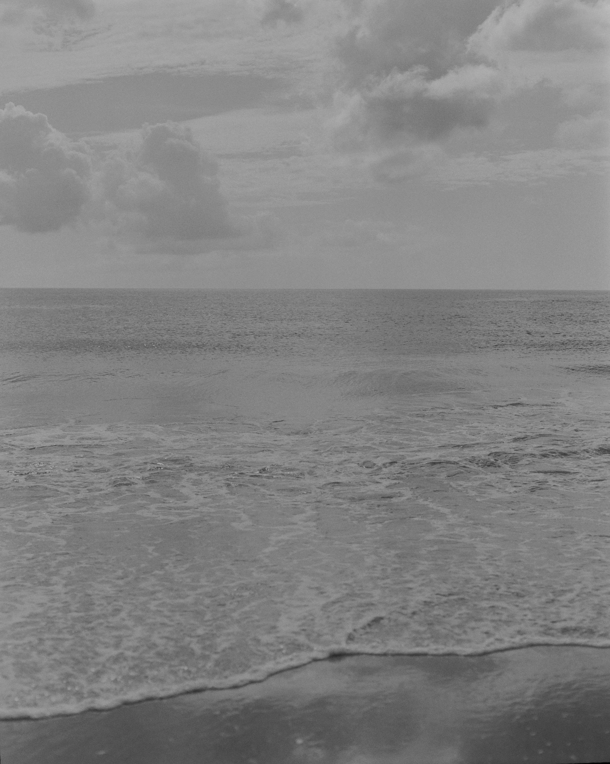 106651_DMI_BeachCreatures_002_06.jpg