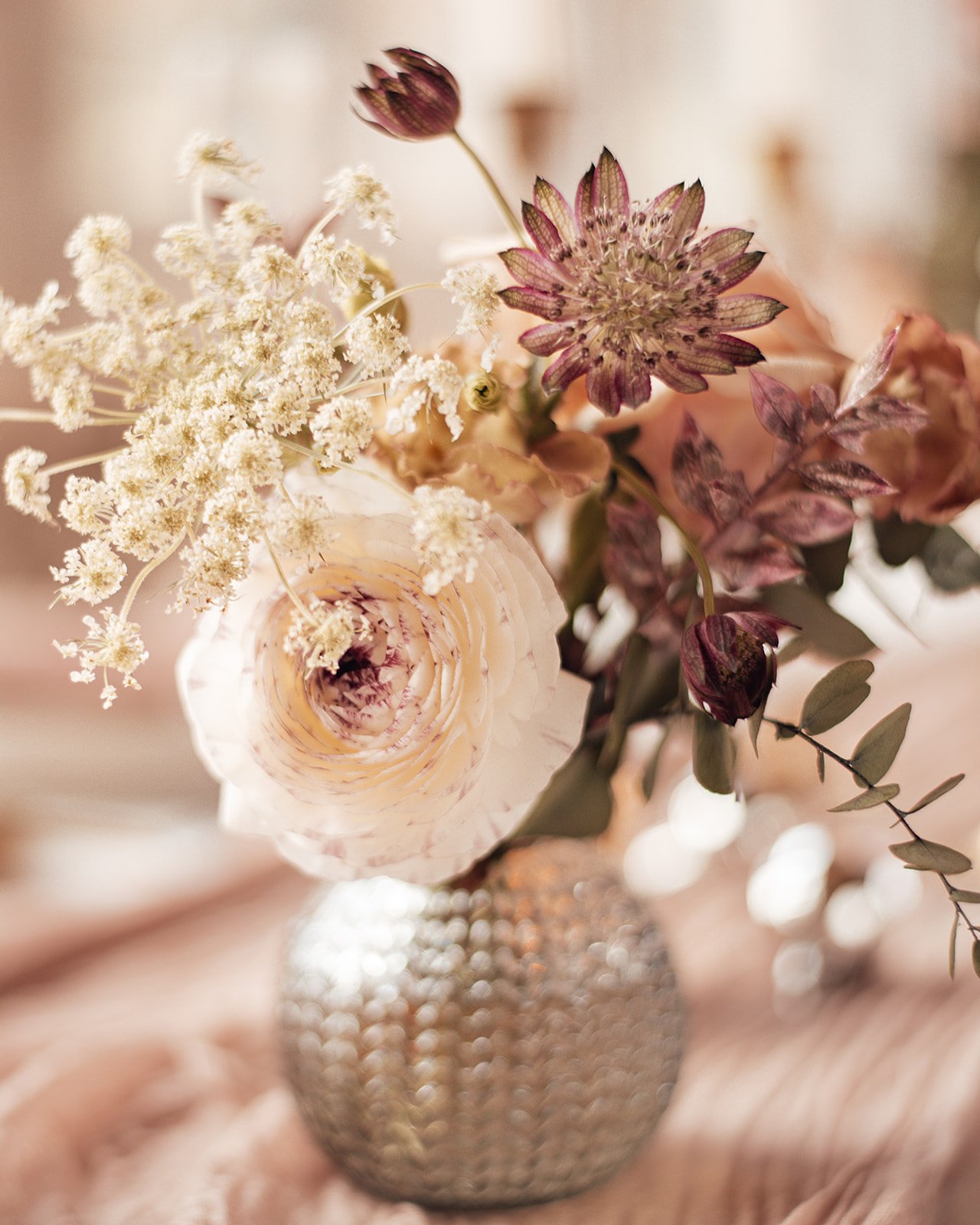 MollyMiaPhotography-17.jpg