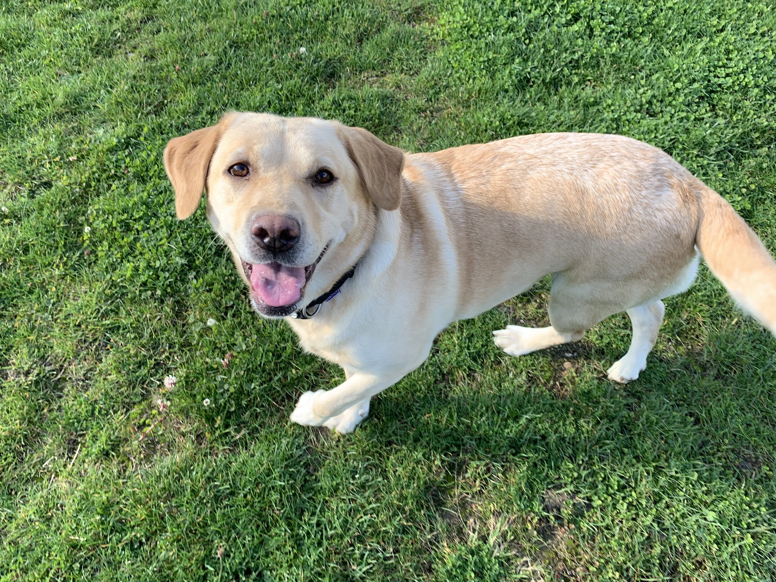 IMG_2493 (Edited).JPG