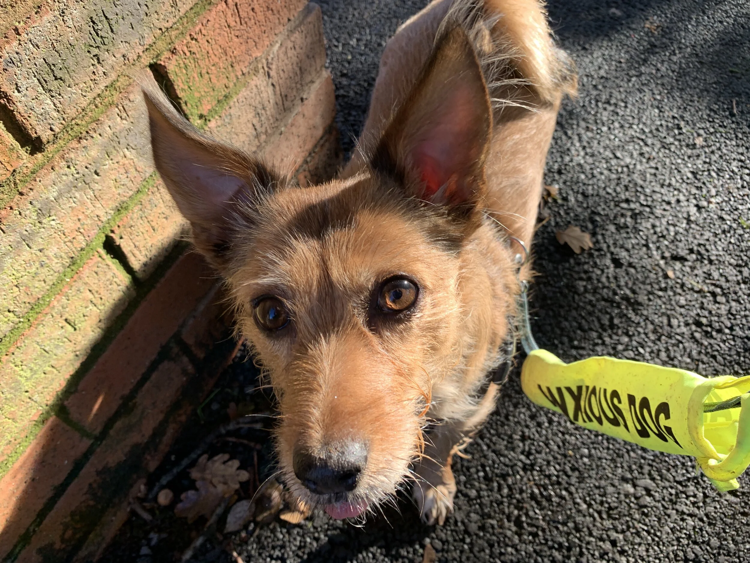 IMG_3073 (Edited).JPG