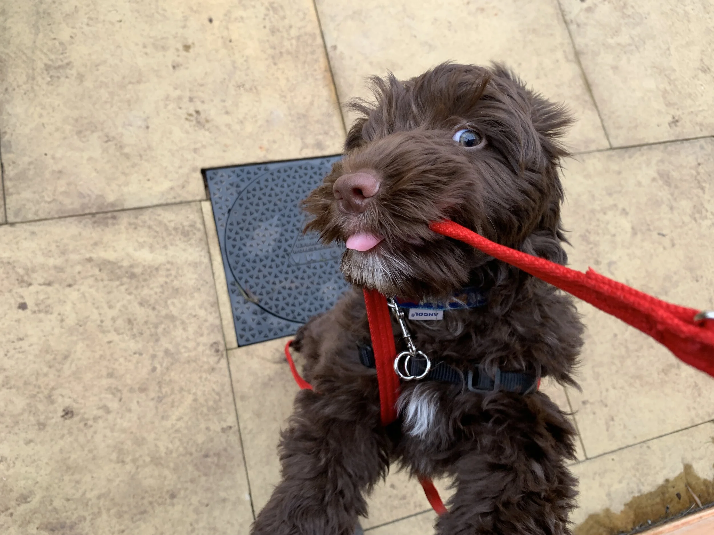 IMG_3120 (Edited).JPG