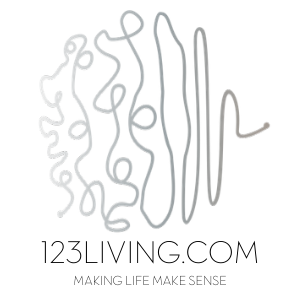 Silver 123WHITEFAVICON THINGY.png