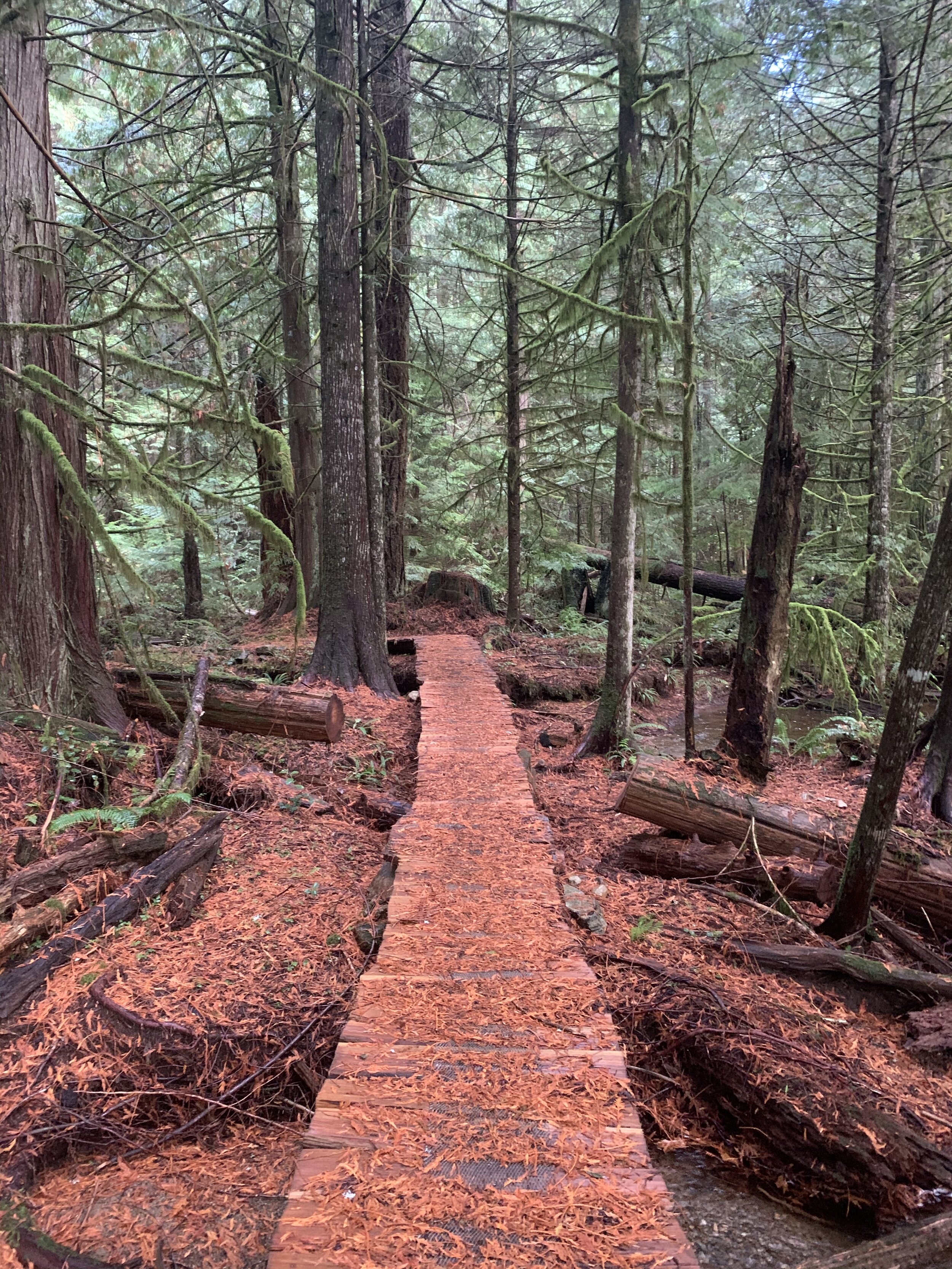 Food is Not the Problem: Deal with what is!