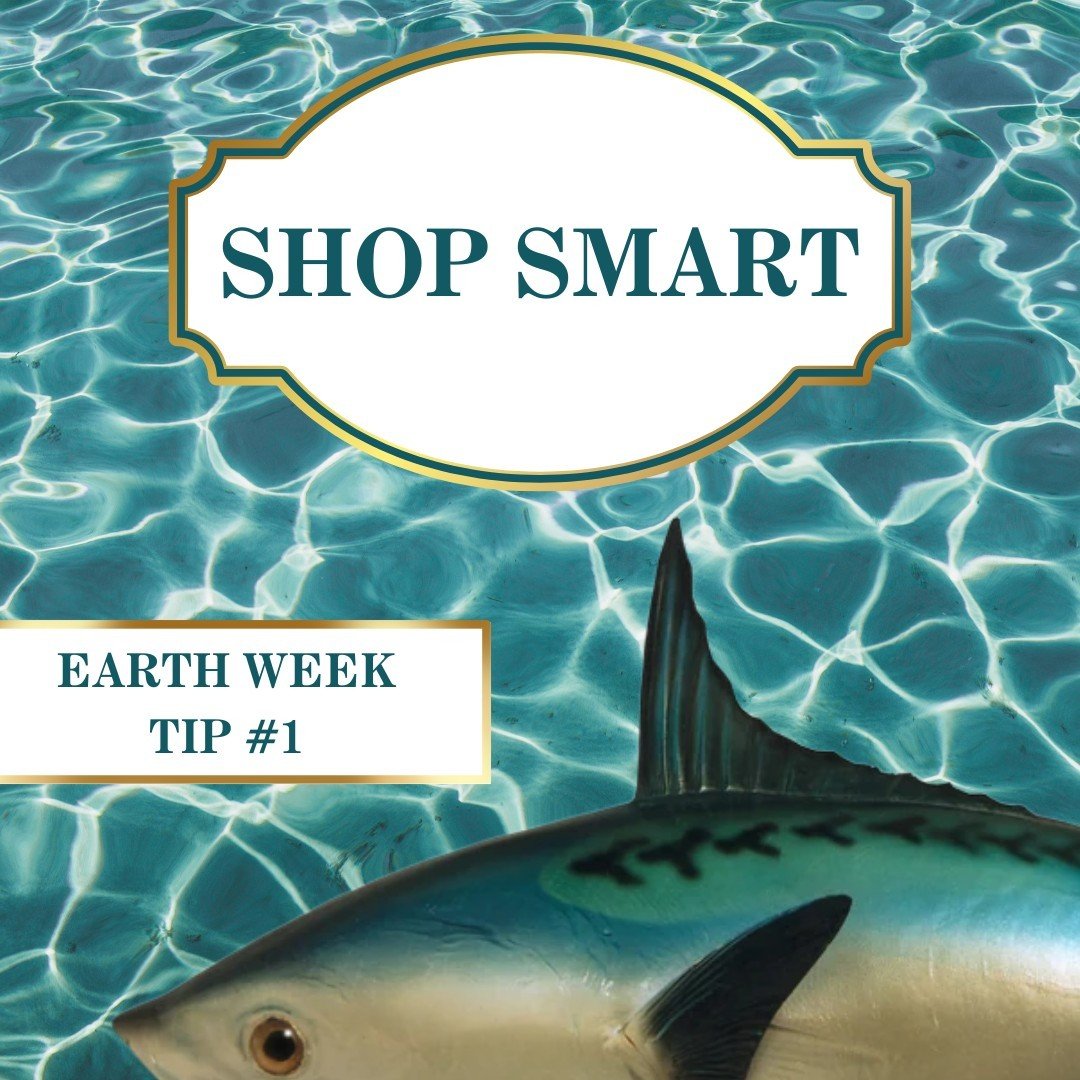 Doing right by our global community may seem hard, but you can make a difference today.
TIP #1 is to shop smart! Consider how the creation of a product impacted the environment before you buy. Favor organic, reusable, and recycled goods, and look for