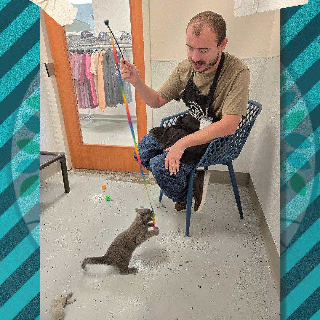 Logan is sharing the love by volunteering with the @officialscanimalshelter!
#volunteer #kittens #santacruz #disabilityinclusion