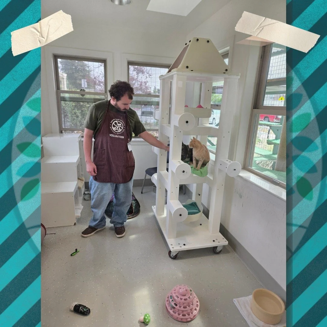 Logan is making lots of fuzzy friends as a shelter volunteer!
#disabilityinclusion #volunteer #cats