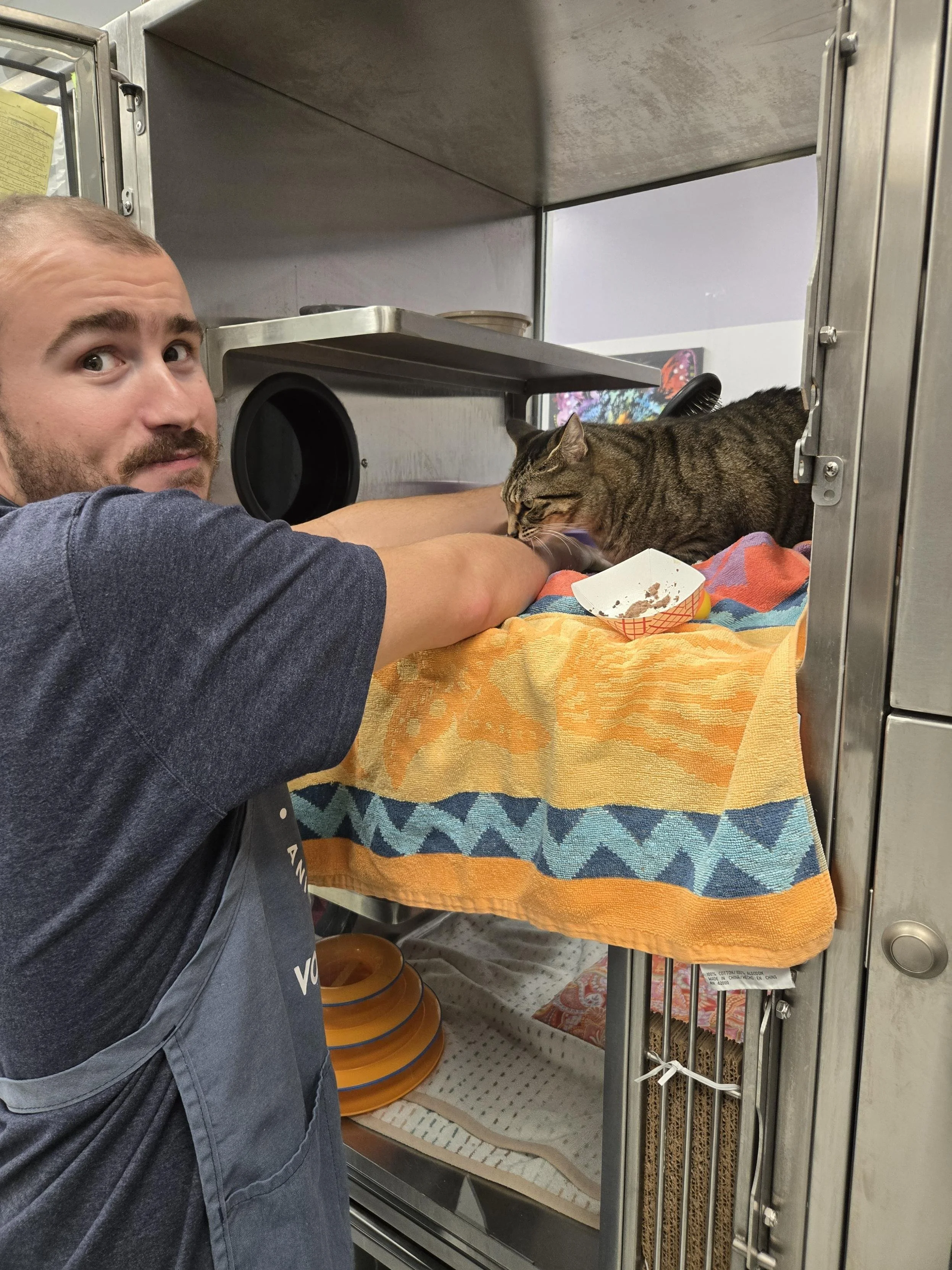 Shannon L Volunteer 3.jpeg