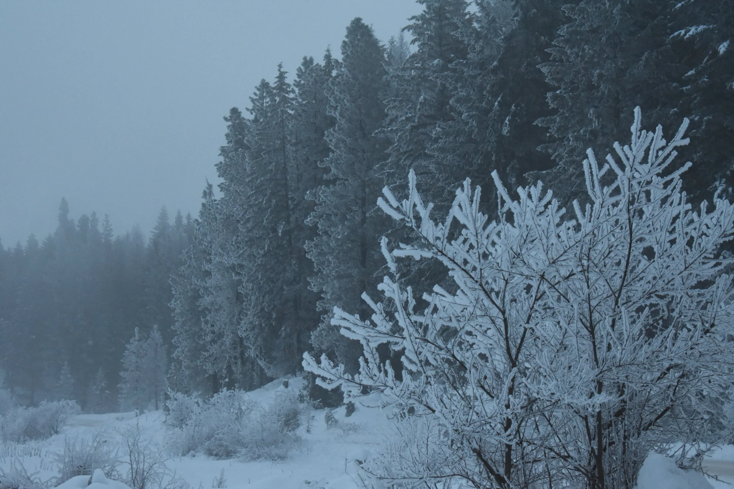 Sr. High Winter Camp