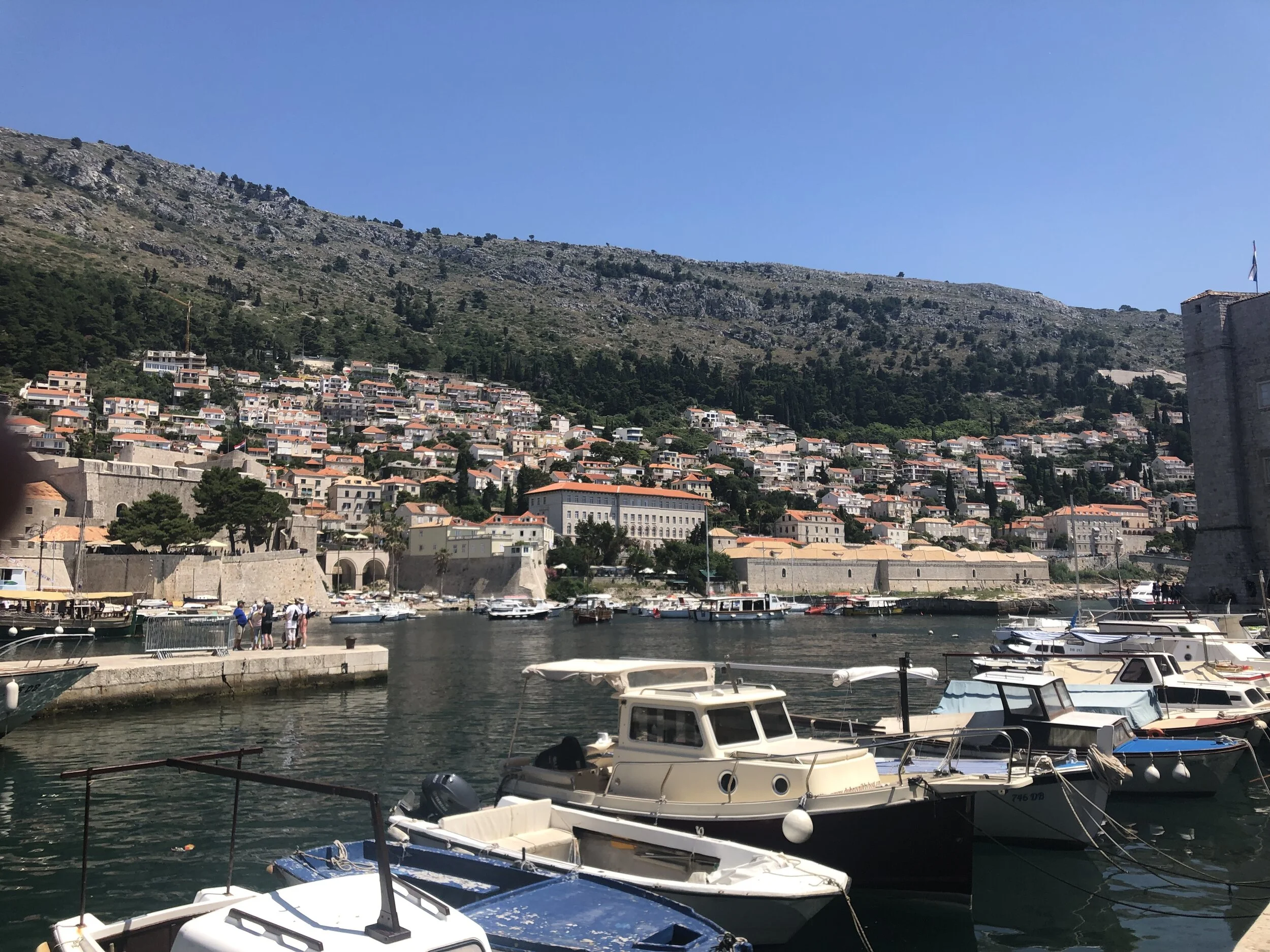IMG_9780.jpeg