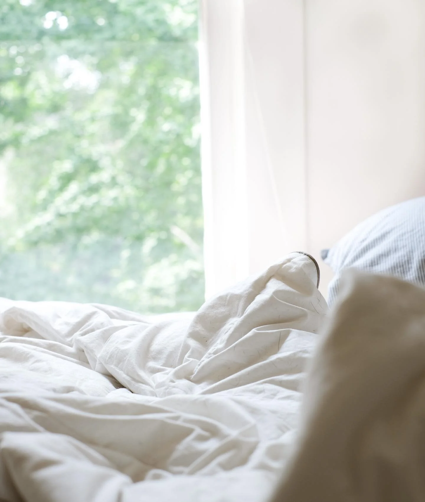 Trying to stay calm and cozy ✨