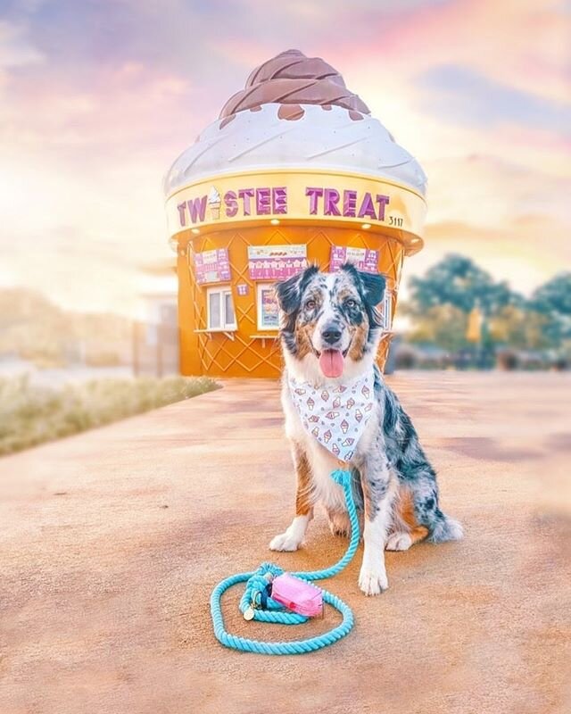 Happy Friday! Are you ready for weekend treats? 🦴 We love this beautiful picture from @earth.to.mochi 💕
.
.
.
.
.
.
.
.
.
#doggiewalkbags #poopbags #dogbag #dogpoop #shoplocal #shopsmall #petsupplies #dogessentials #petproducts #ocdogs #californiad