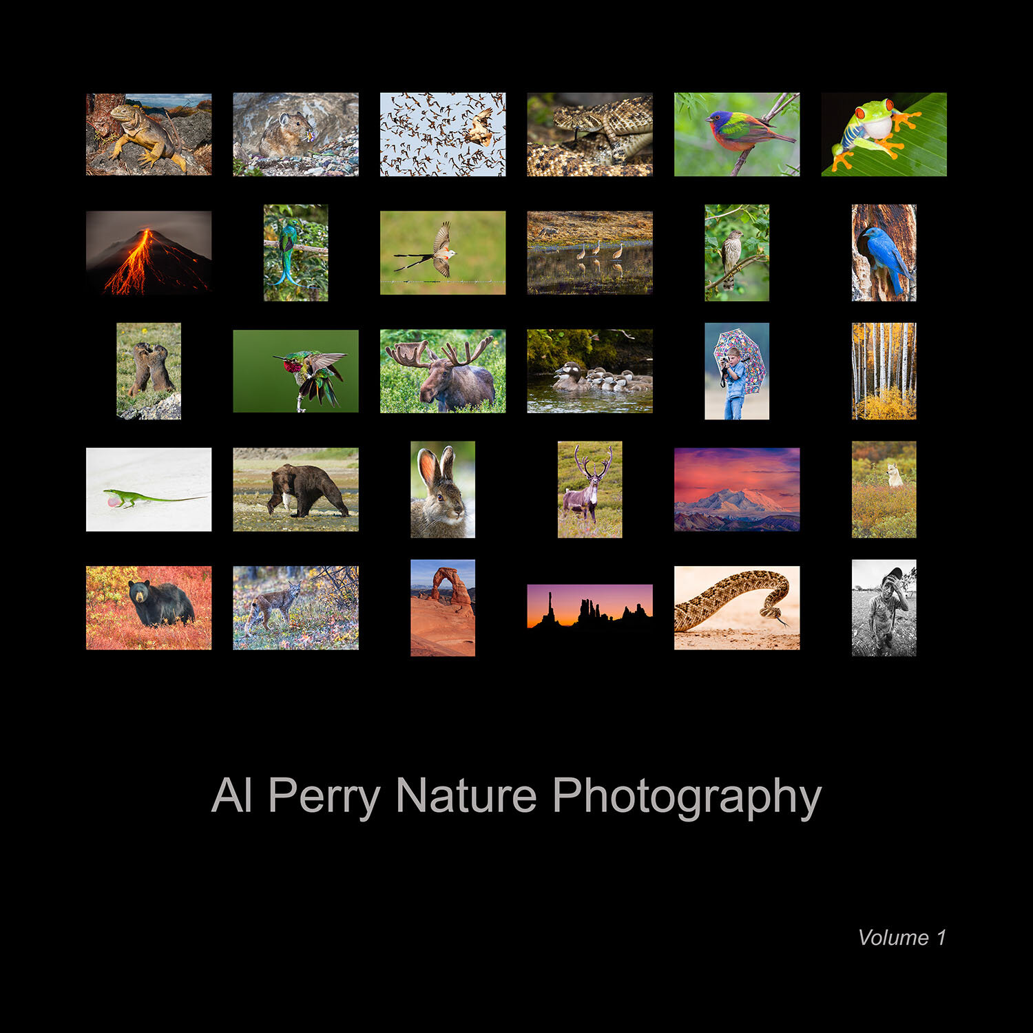 Al Perry Nature Photography Volume 1