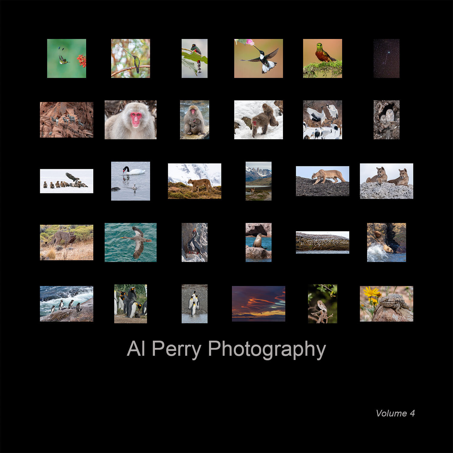 Al Perry Photography Volume 4