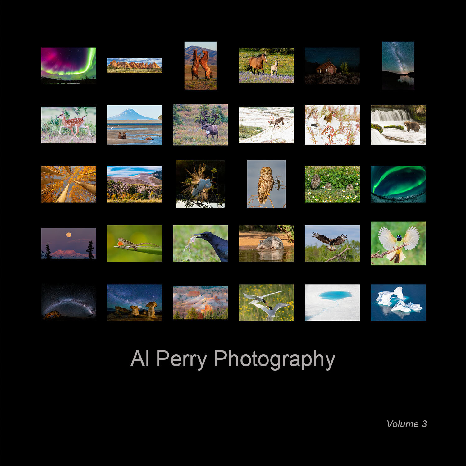 Al Perry Photography Volume 3