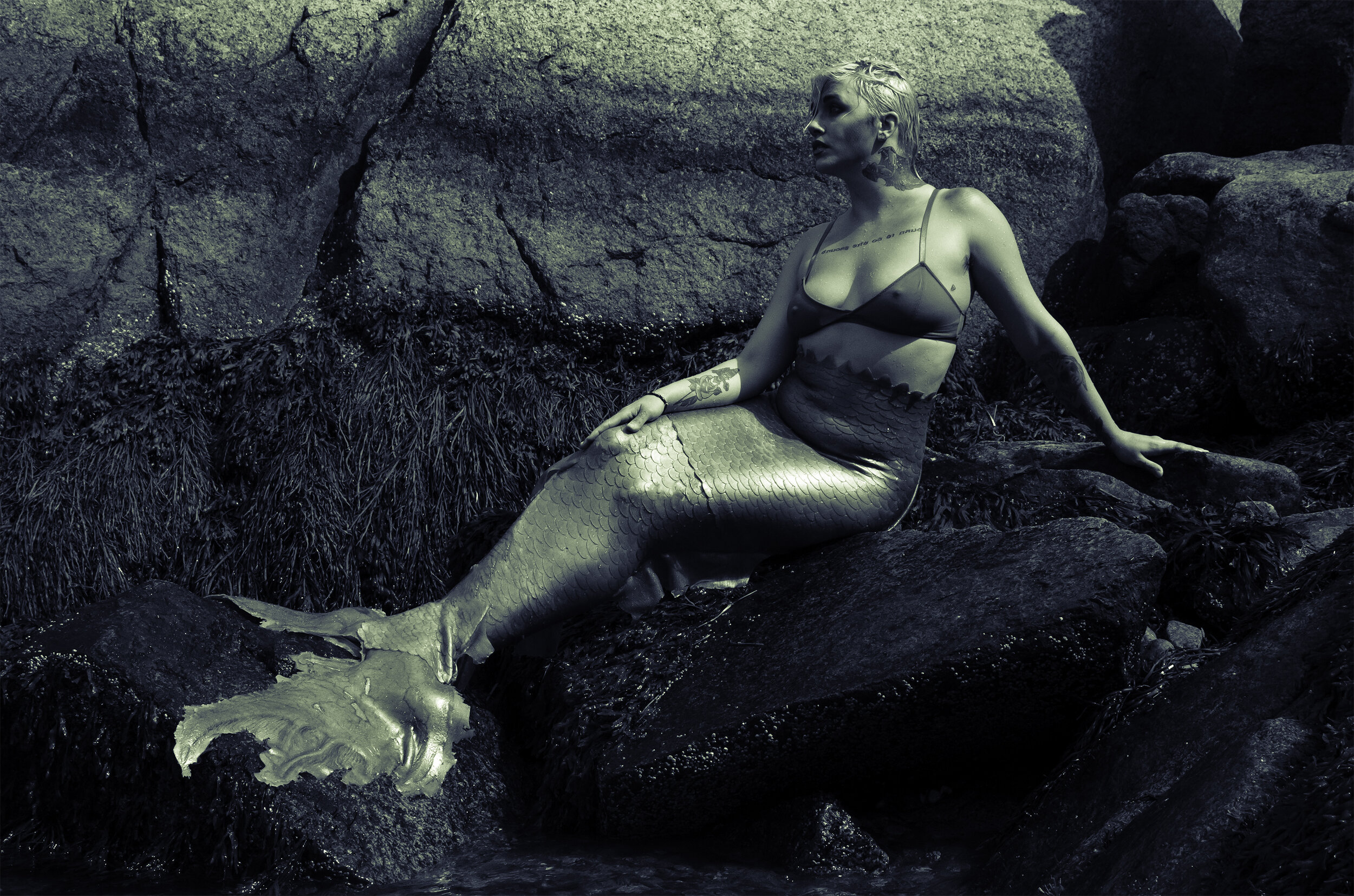 DSC_4024-Edit.jpg