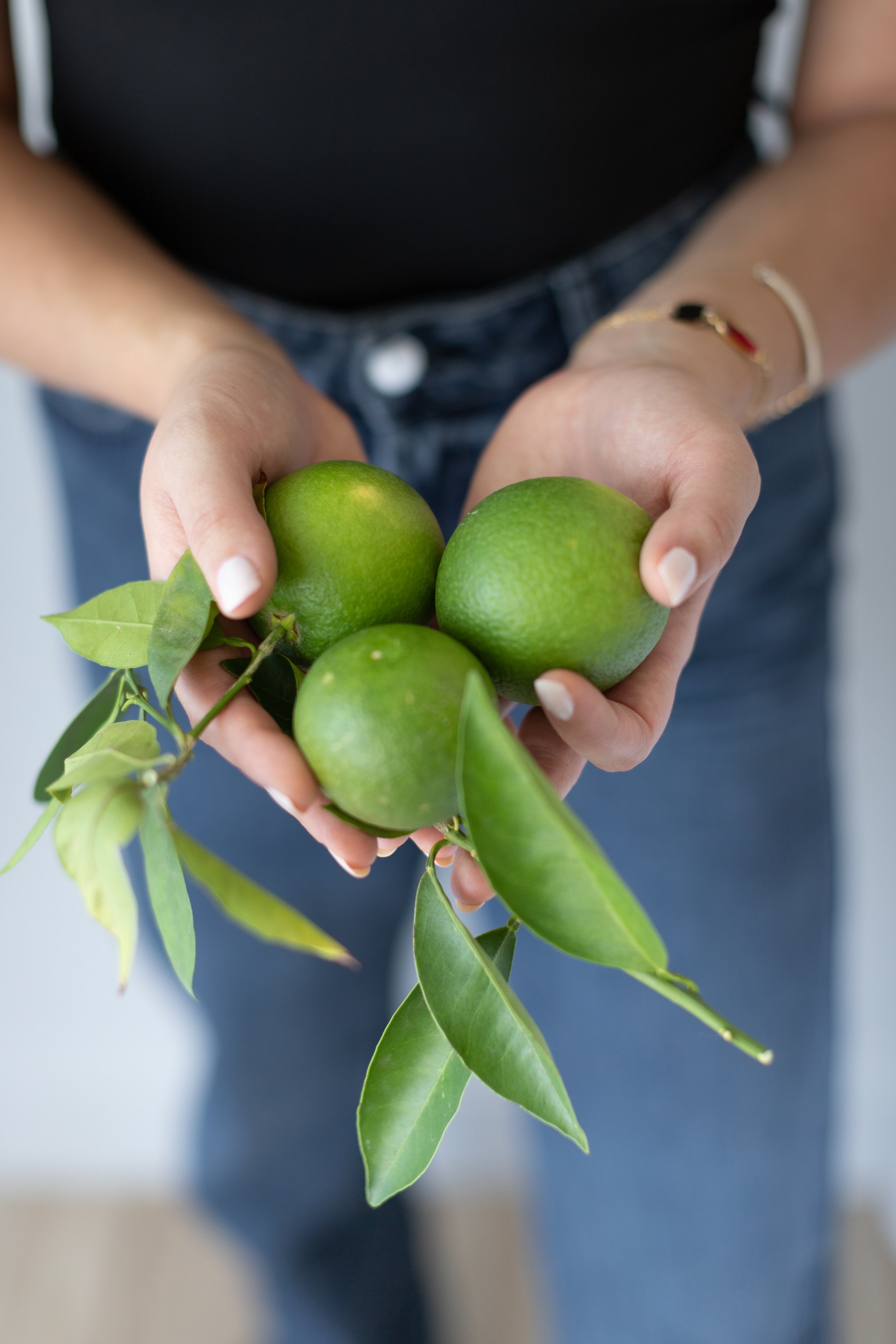 Sequence 0001-74.jpg