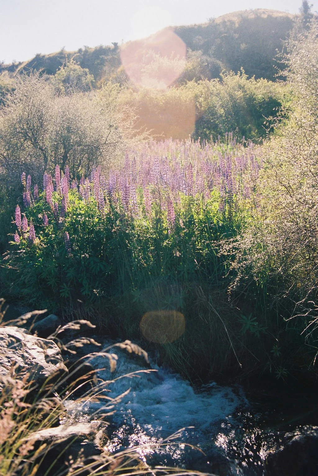 Spring Clean Your Skincare: Top Med Spa Treatments to Refresh Your Skin for Warmer Weather 