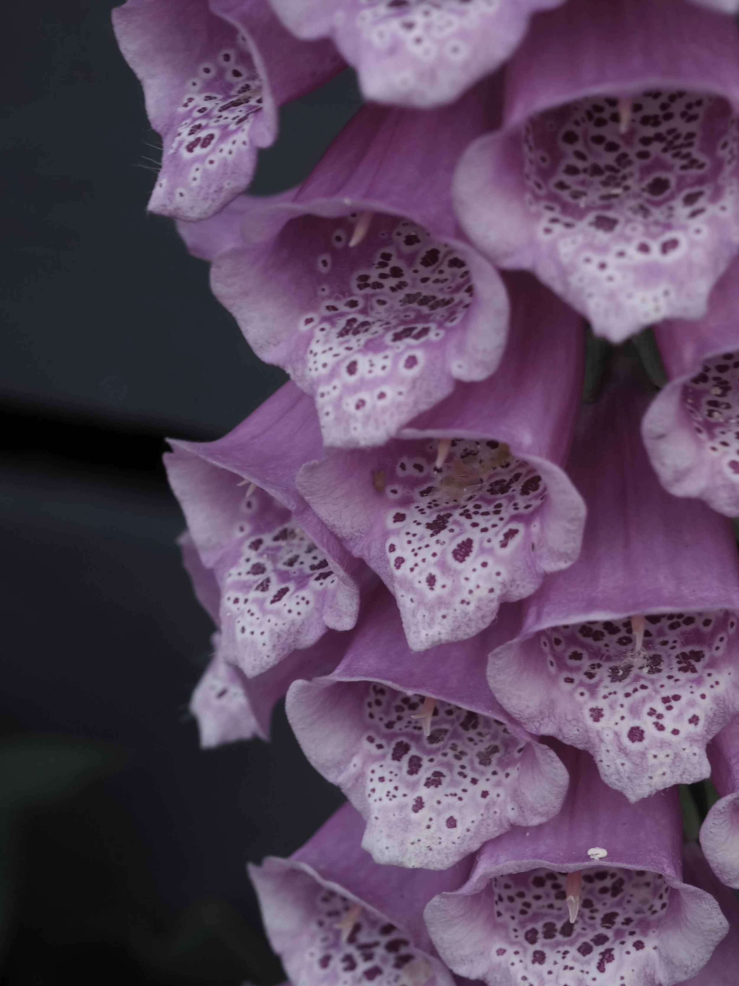 How Your Period Can Affect Fillers, Botox, and Other Aesthetic Treatments&nbsp;