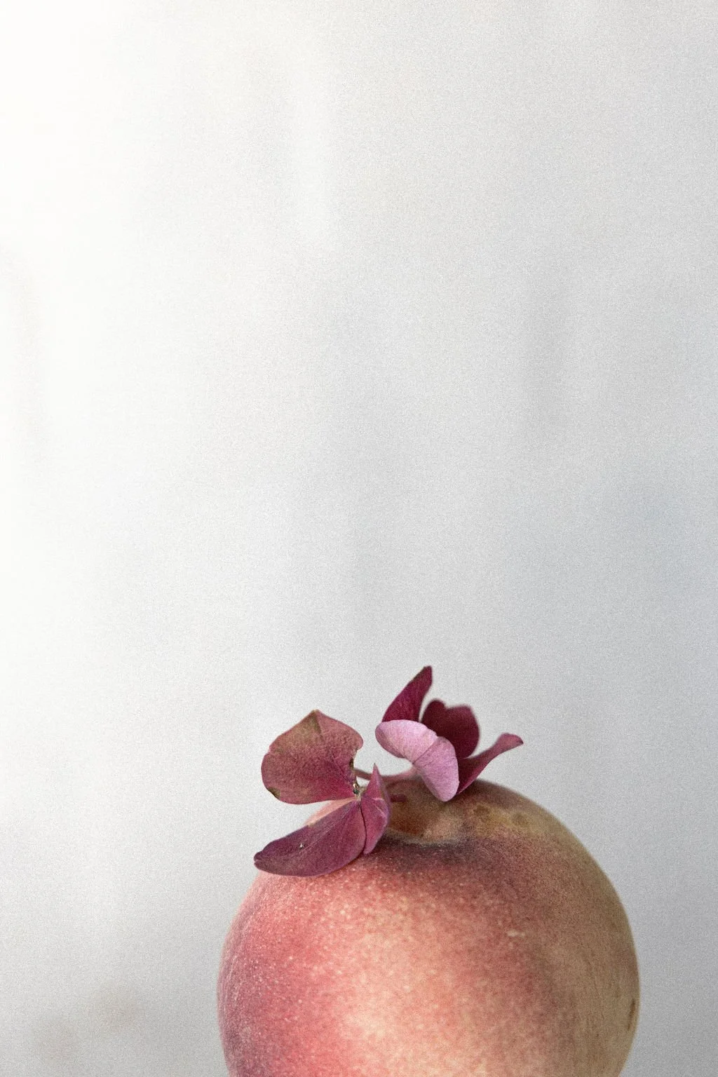 Beauty Beyond the Surface: How Aesthetics Empower Confidence During Breast Cancer Awareness Month