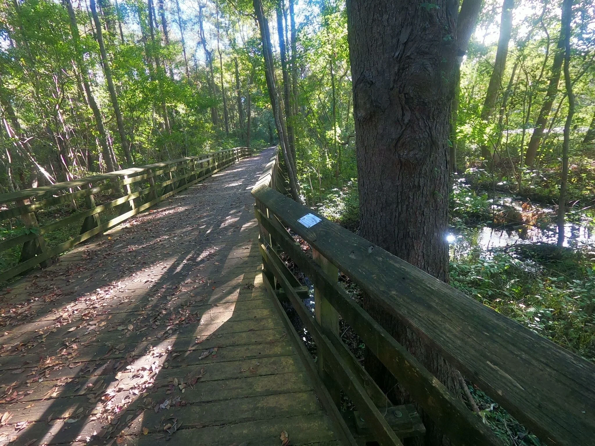 Bike the Neck Adopt-a-Path Spring Cleanup
