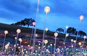 Bruce Munro at Brookgreen: Southern Light