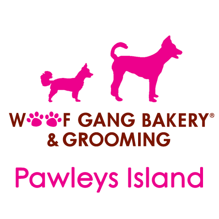 Woof Gang Bakery Offering FREE Same Day Deliver & Curbside Service