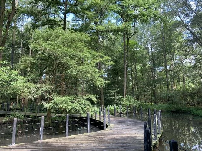 Brookgreen U: A Walk Across South Carolina with Jim Lee.