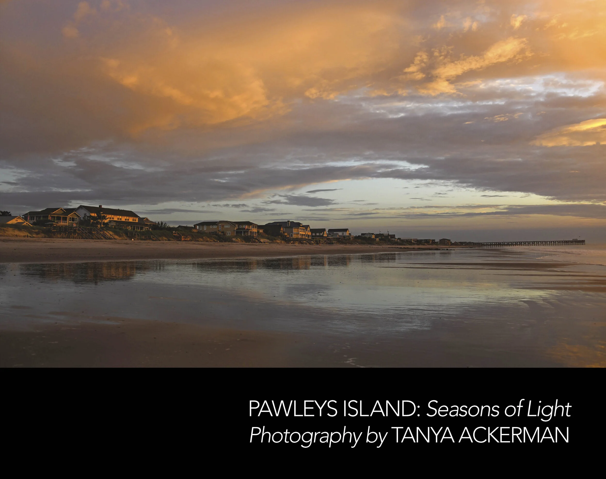 The Moveable Feast: Tanya Ackerman (Pawleys Island: Seasons of Light) at Ocean One