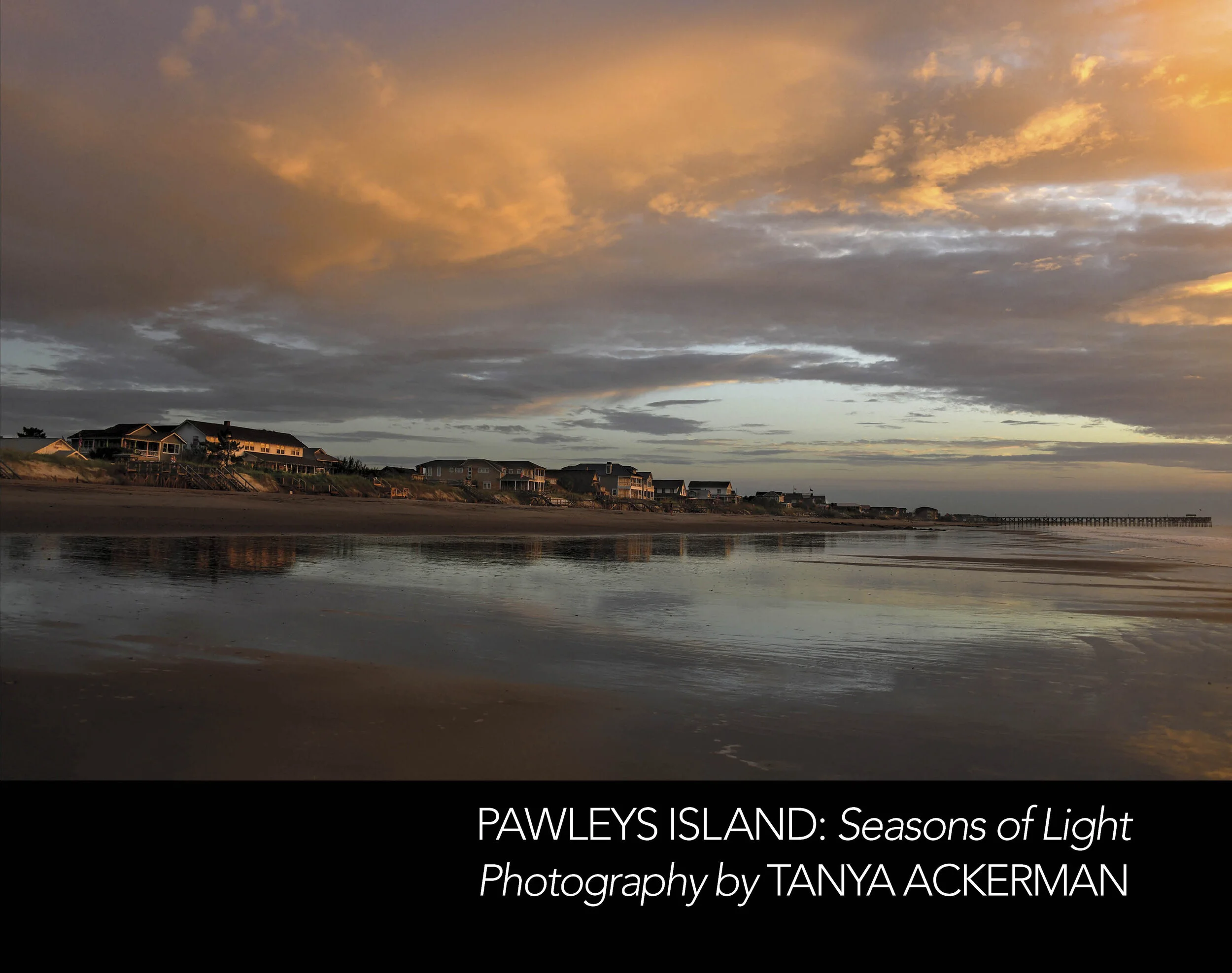Moveable Feast: Tanya Ackerman (Pawleys Island: Seasons of Light) at Inlet Affairs