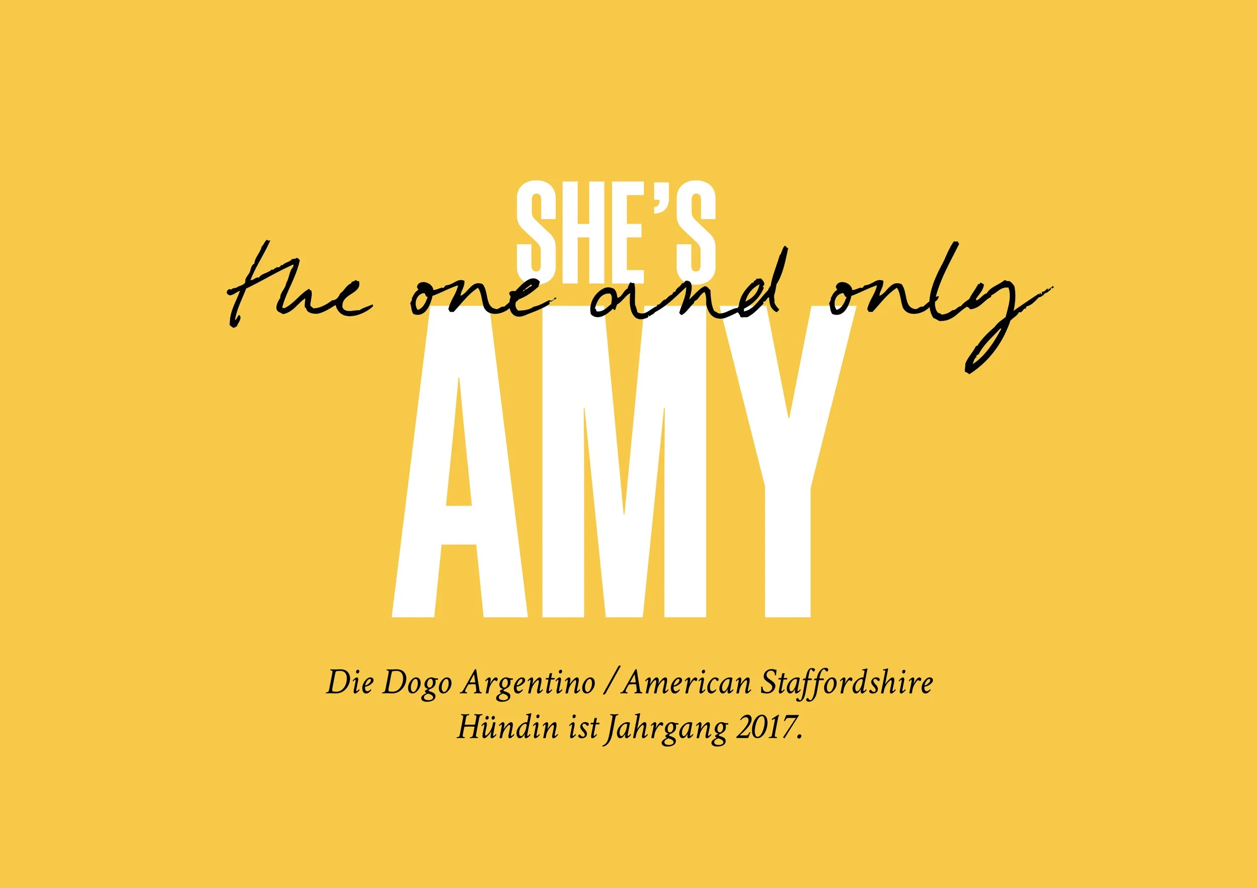she_is_the_one_and_only_amy