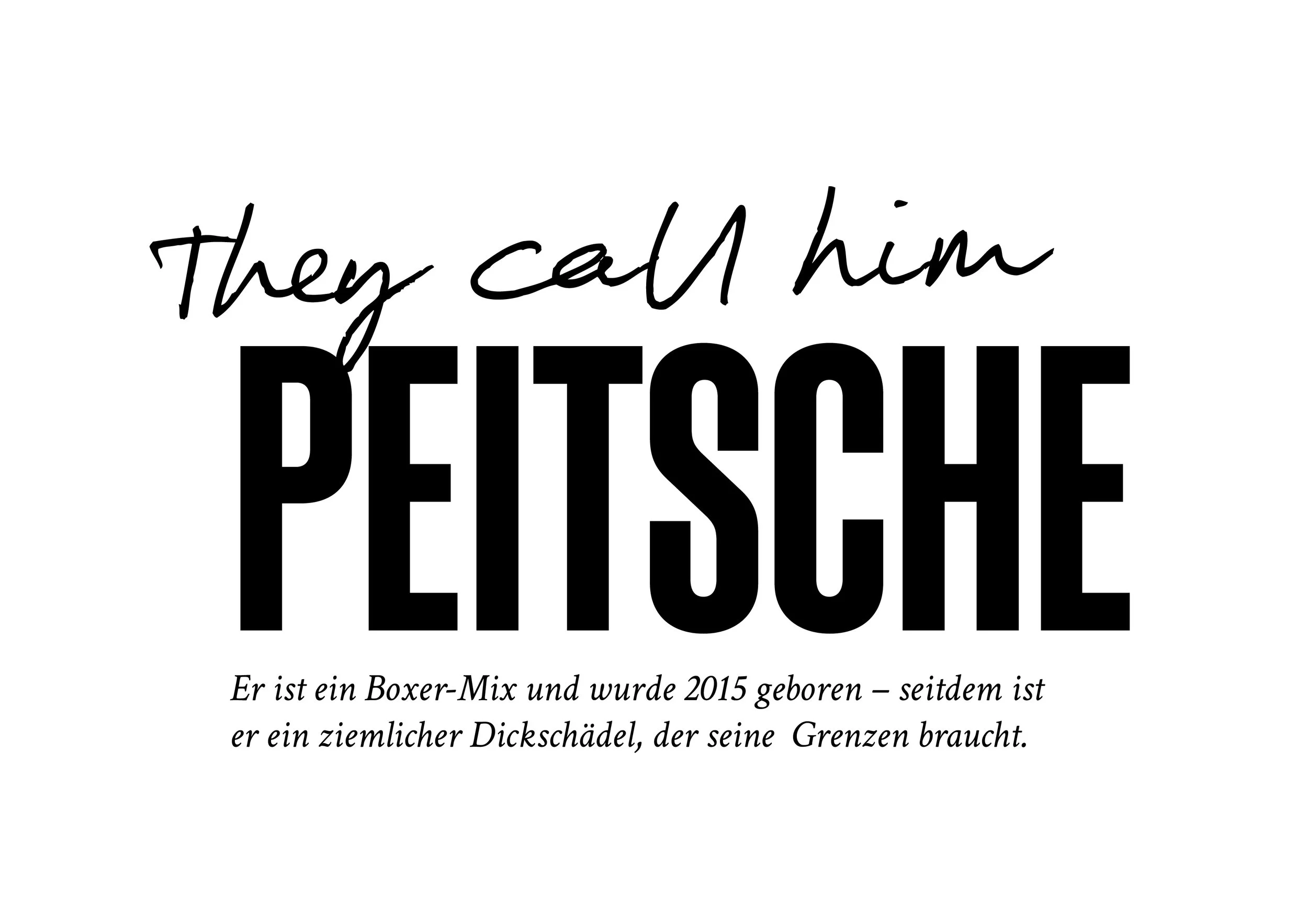 they_call_him_peitsche