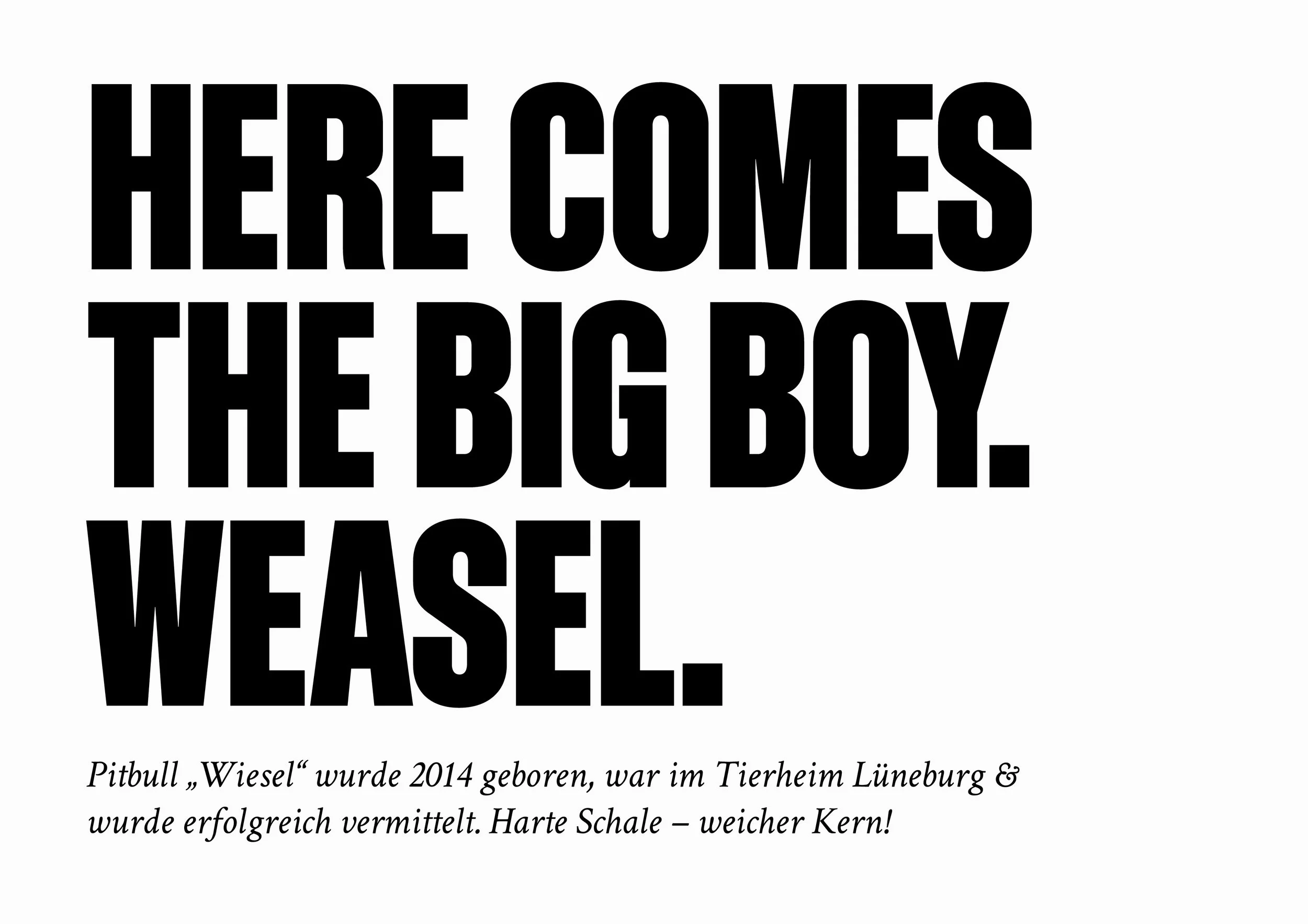 here_comes_the_big_boy_weasel